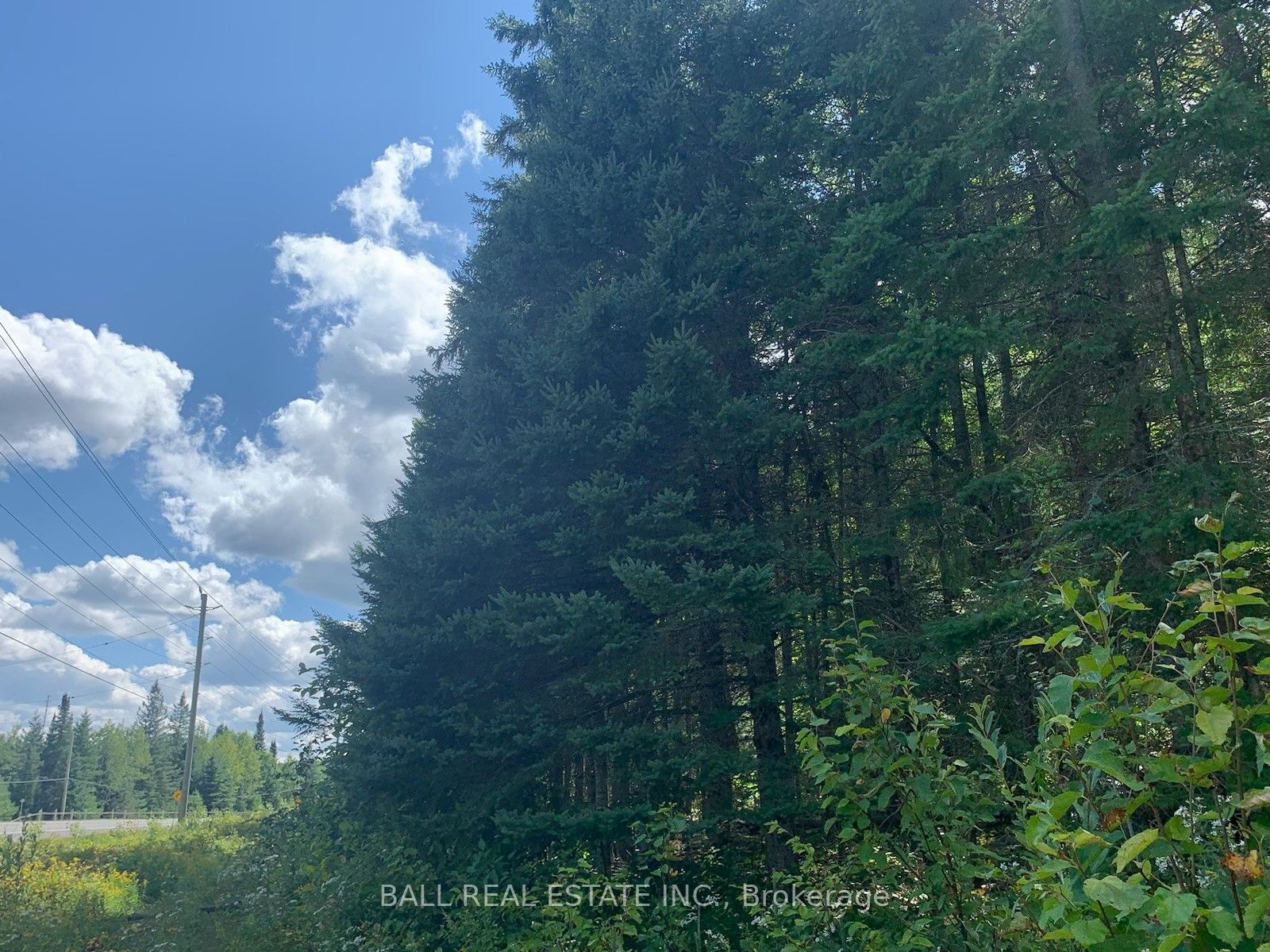 Lot 29 Highway 62 Property Photo