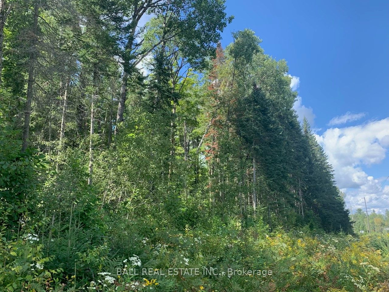 Lot 29 Highway 62 Property Photo 4