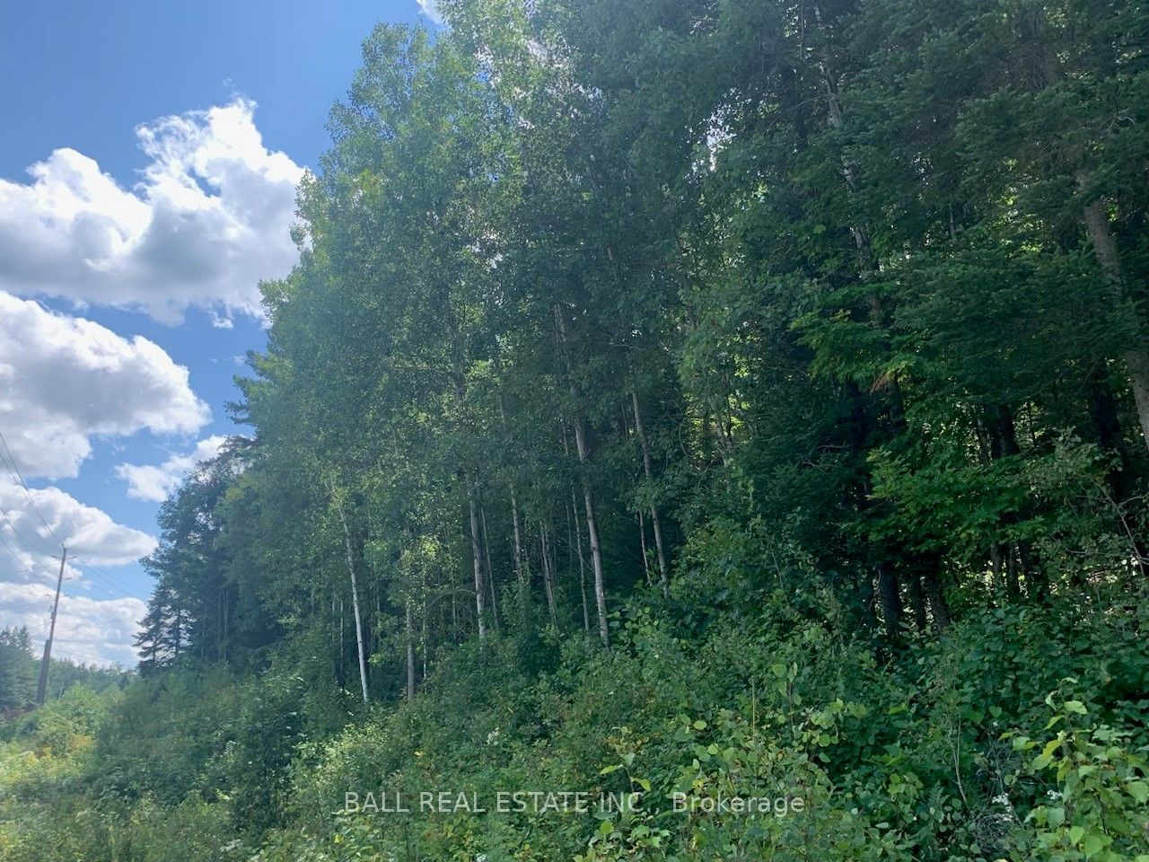 Lot 29 Highway 62 Property Photo 5