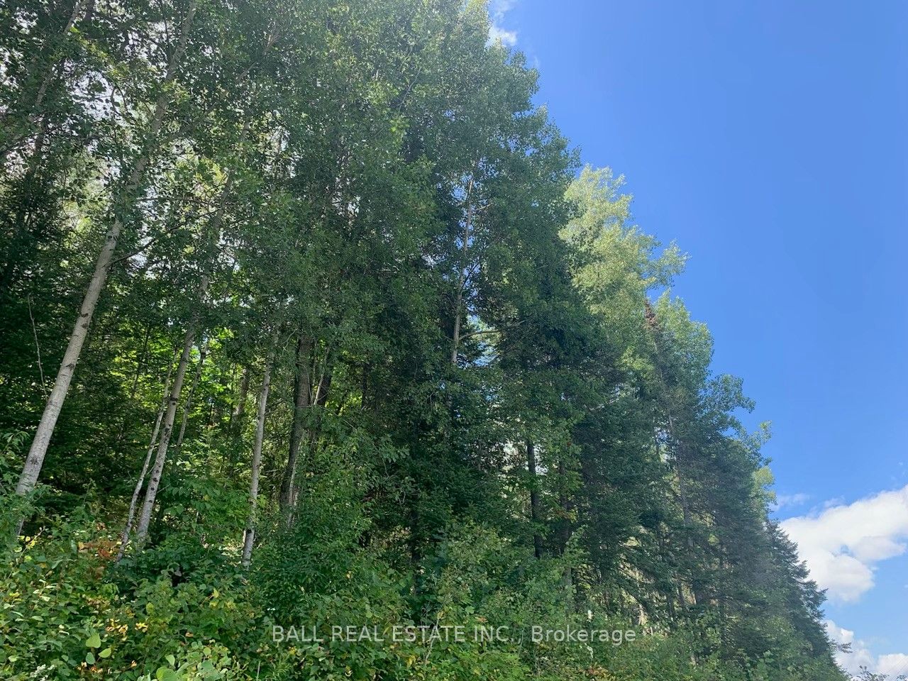 Lot 29 Highway 62 Property Photo 6