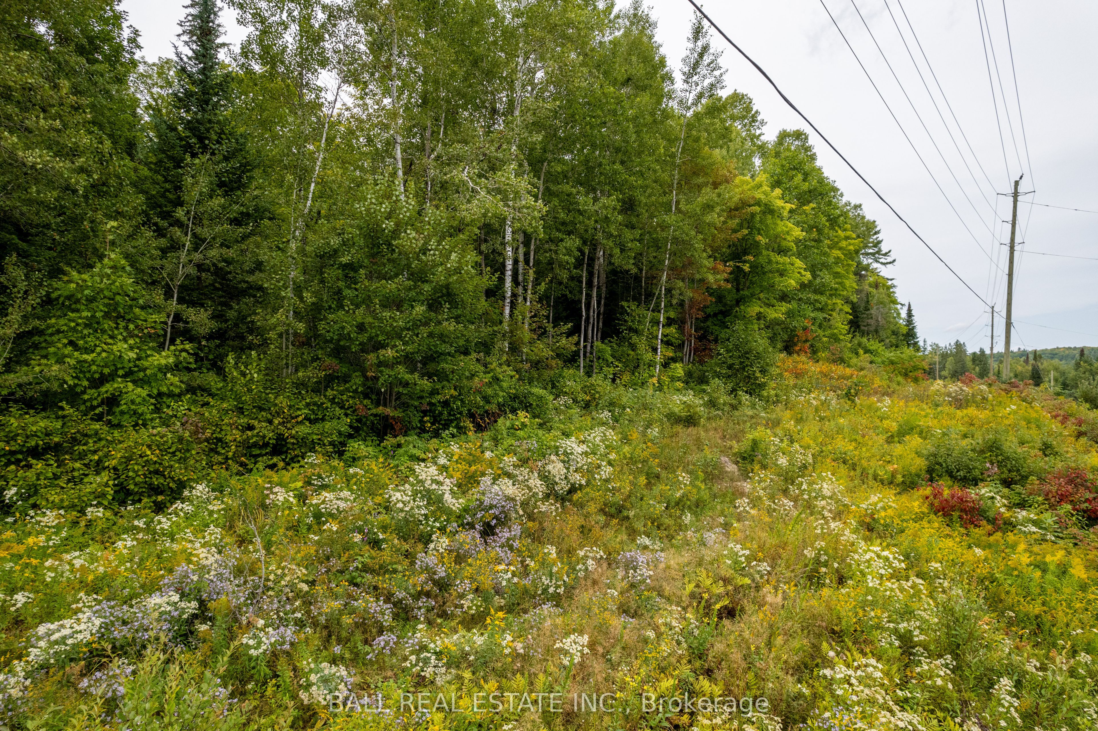 Lot 29 Highway 62 Property Photo 15