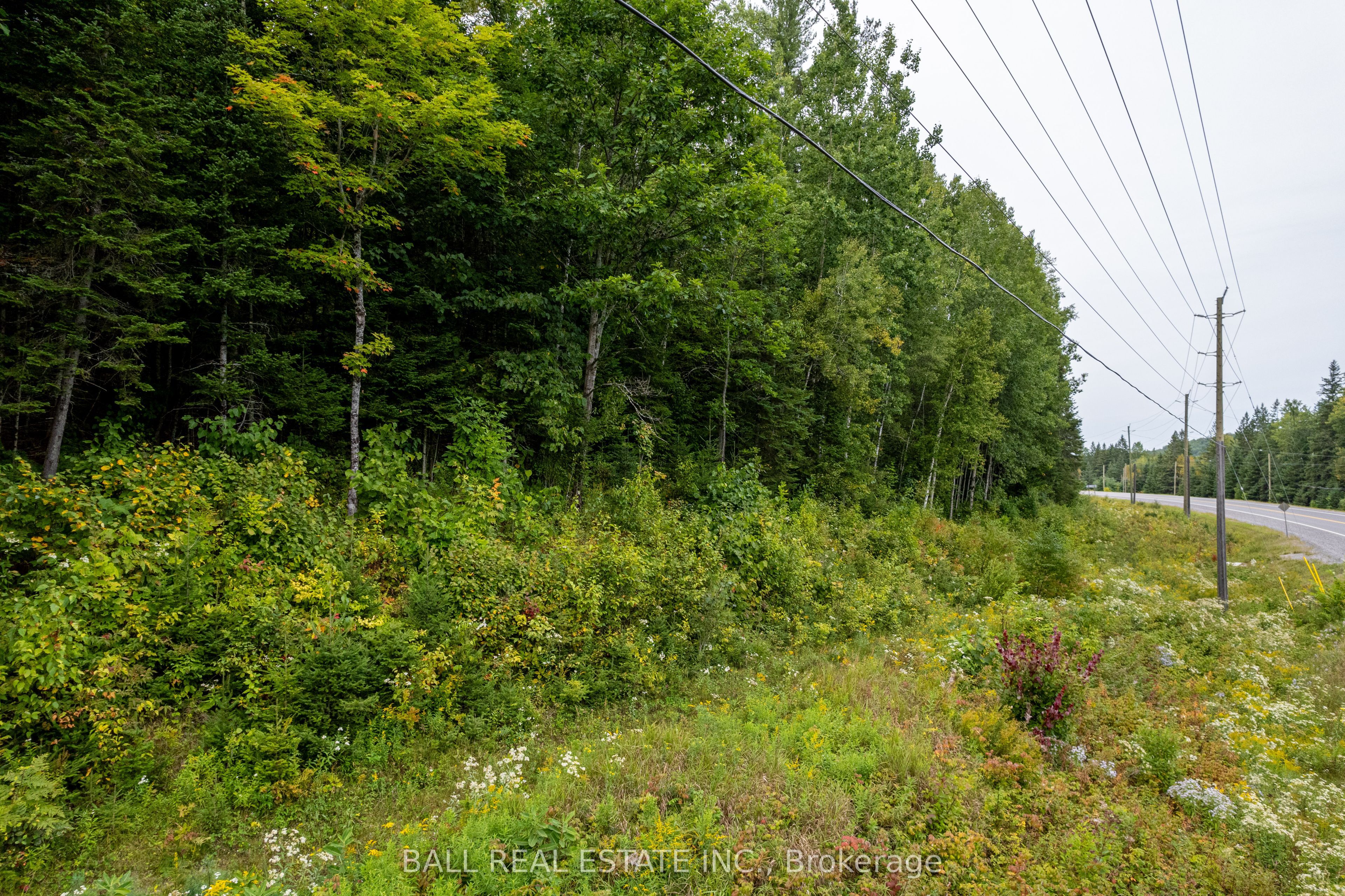 Lot 29 Highway 62 Property Photo 16