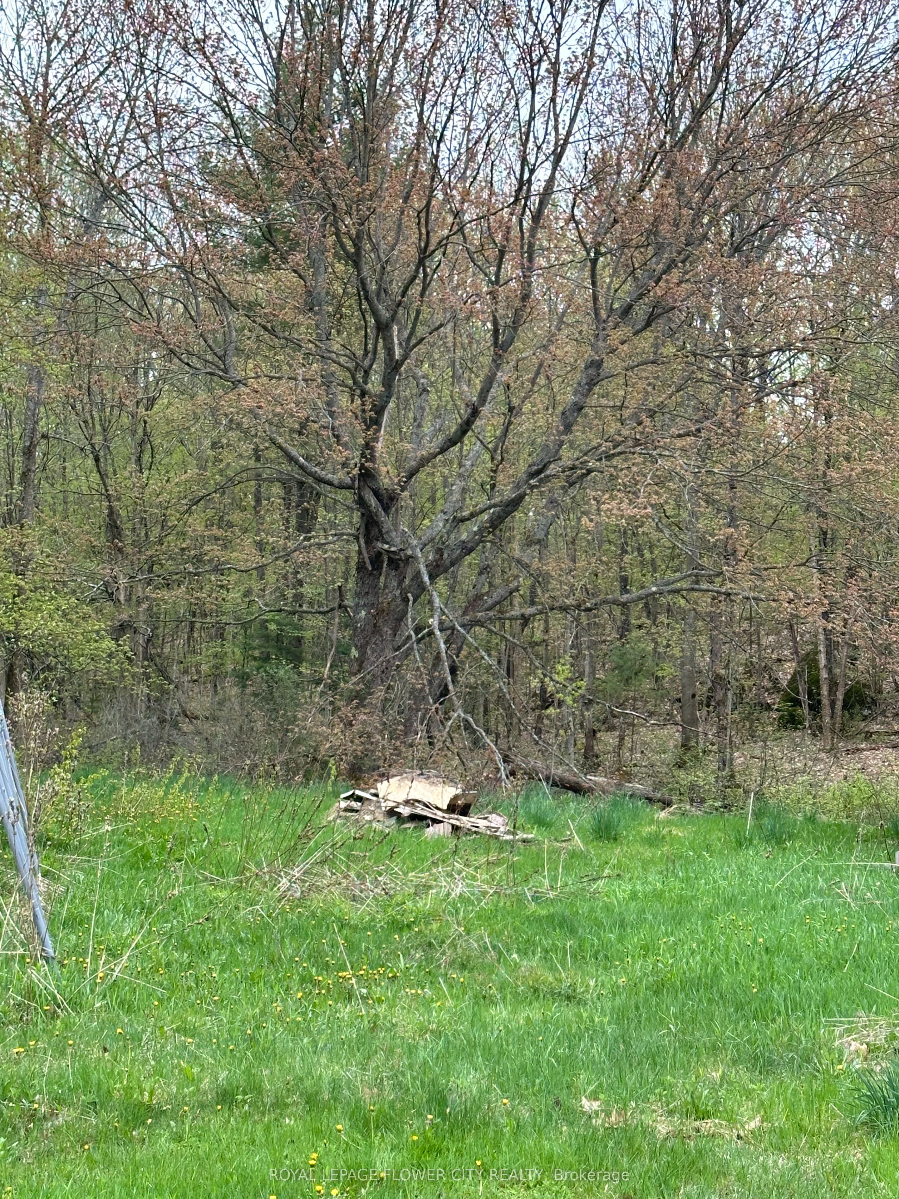 7826 Lake Jospeh Road Property Photo 2