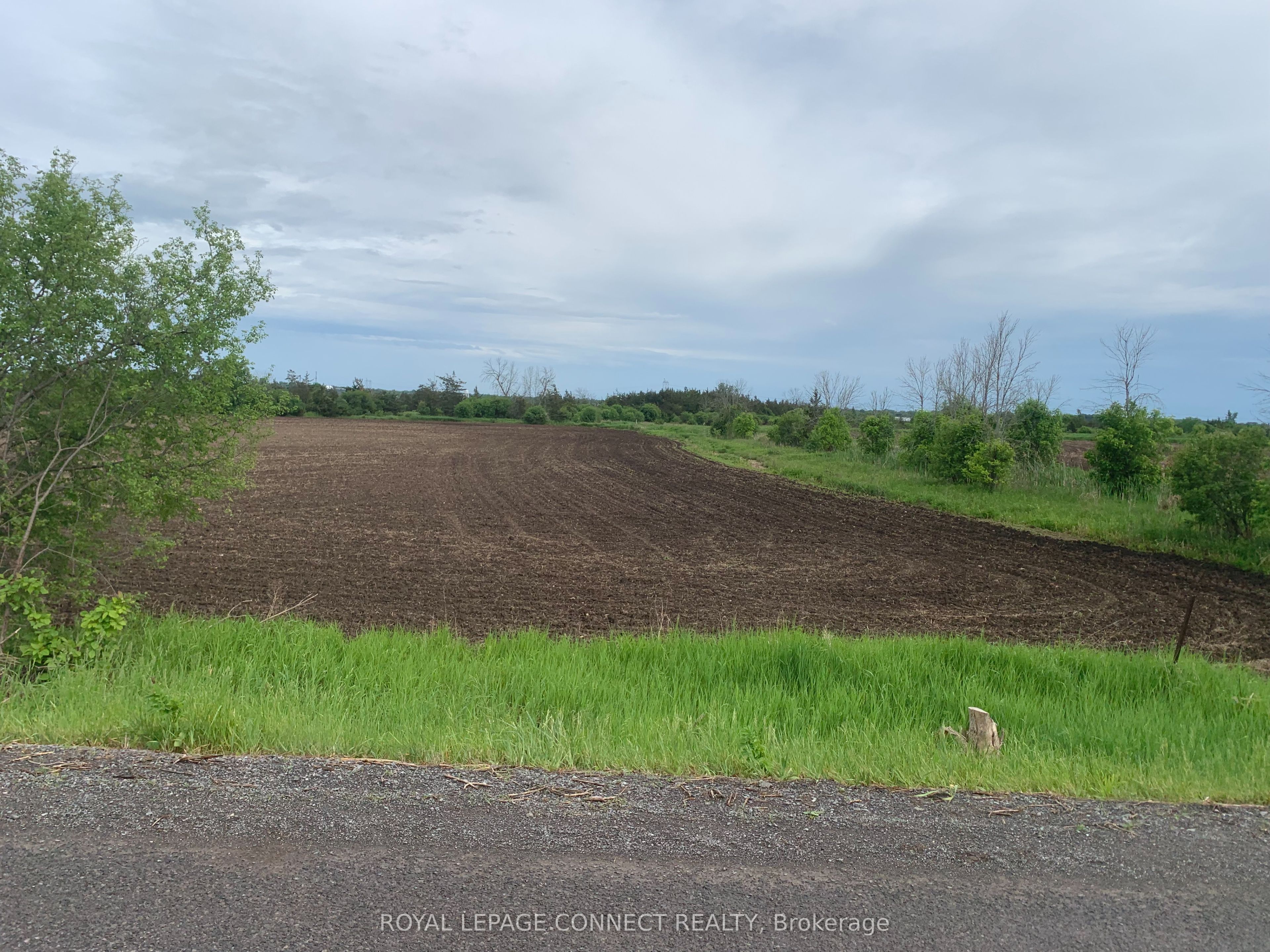 208 Drive In Road Property Photo 3
