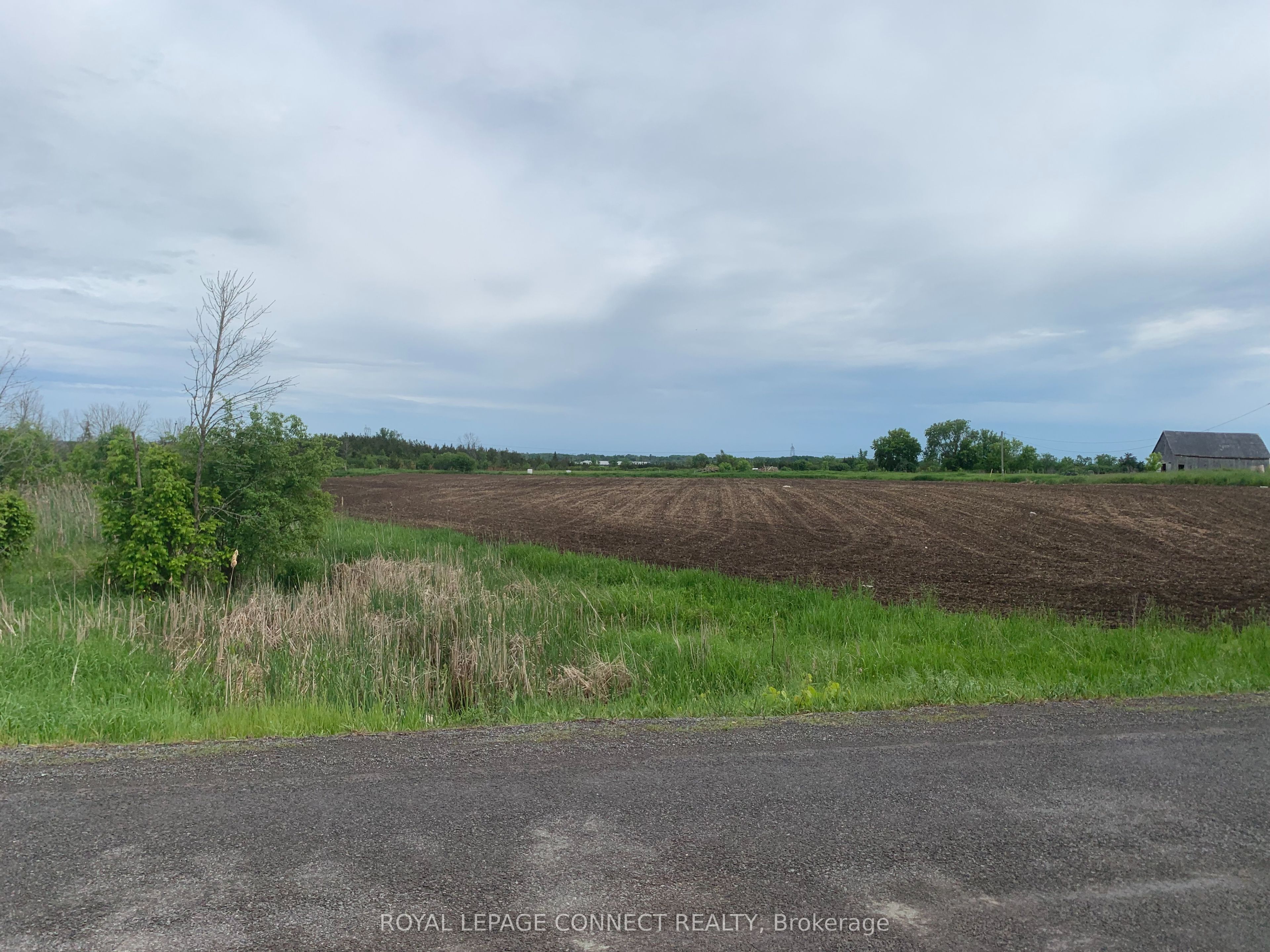 208 Drive In Road Property Photo 4