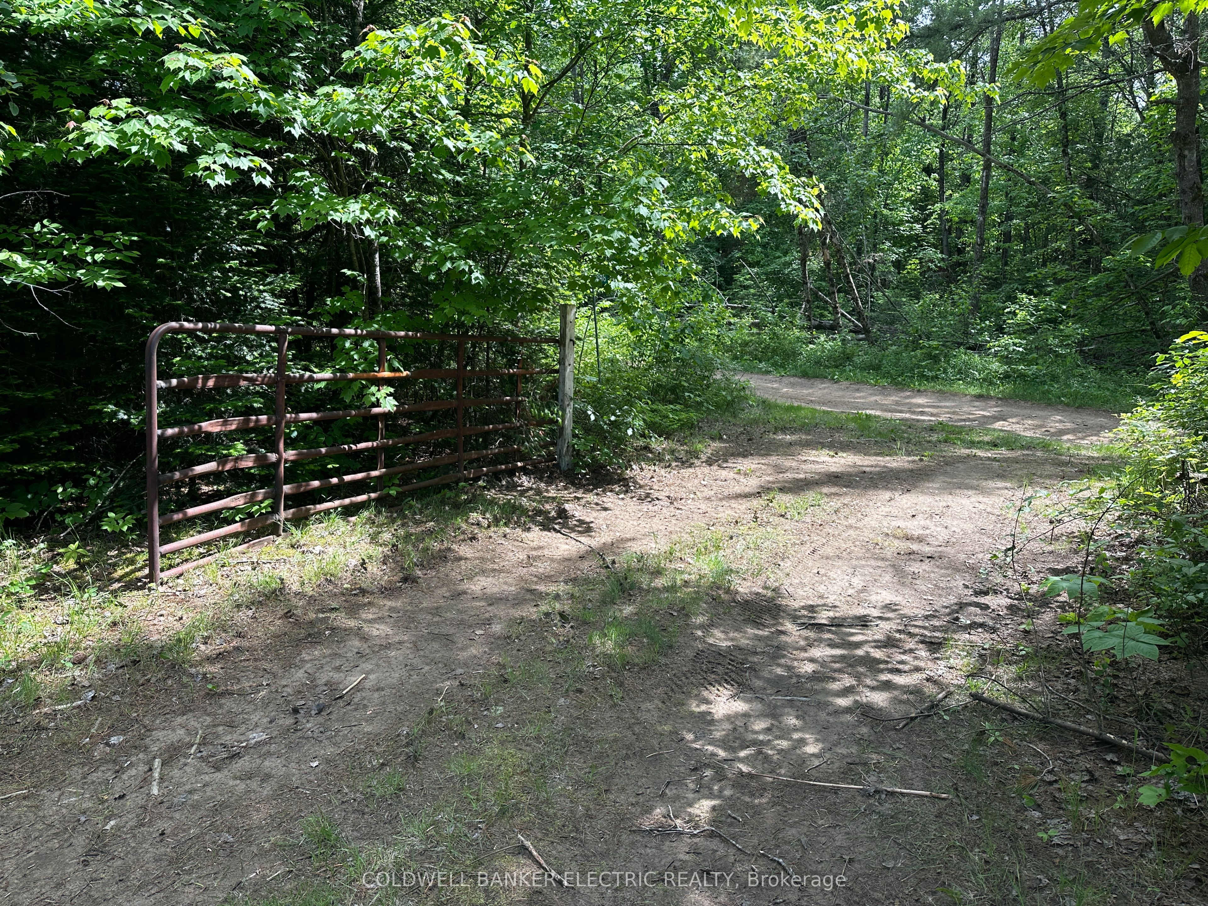 Lot 27 Concession 5 Property Photo 31