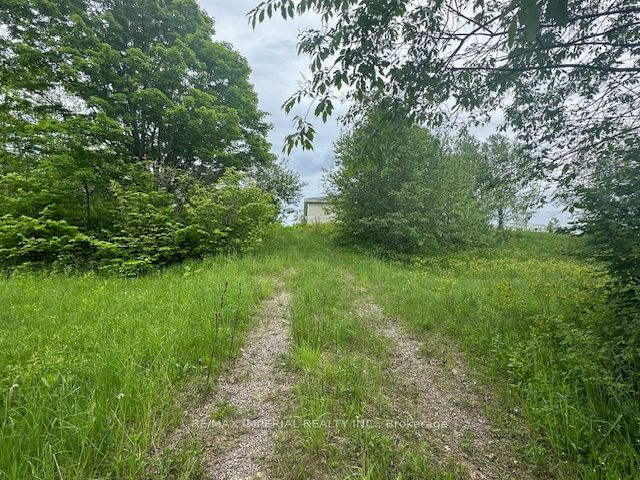 309 Scott Line Road Property Photo 4