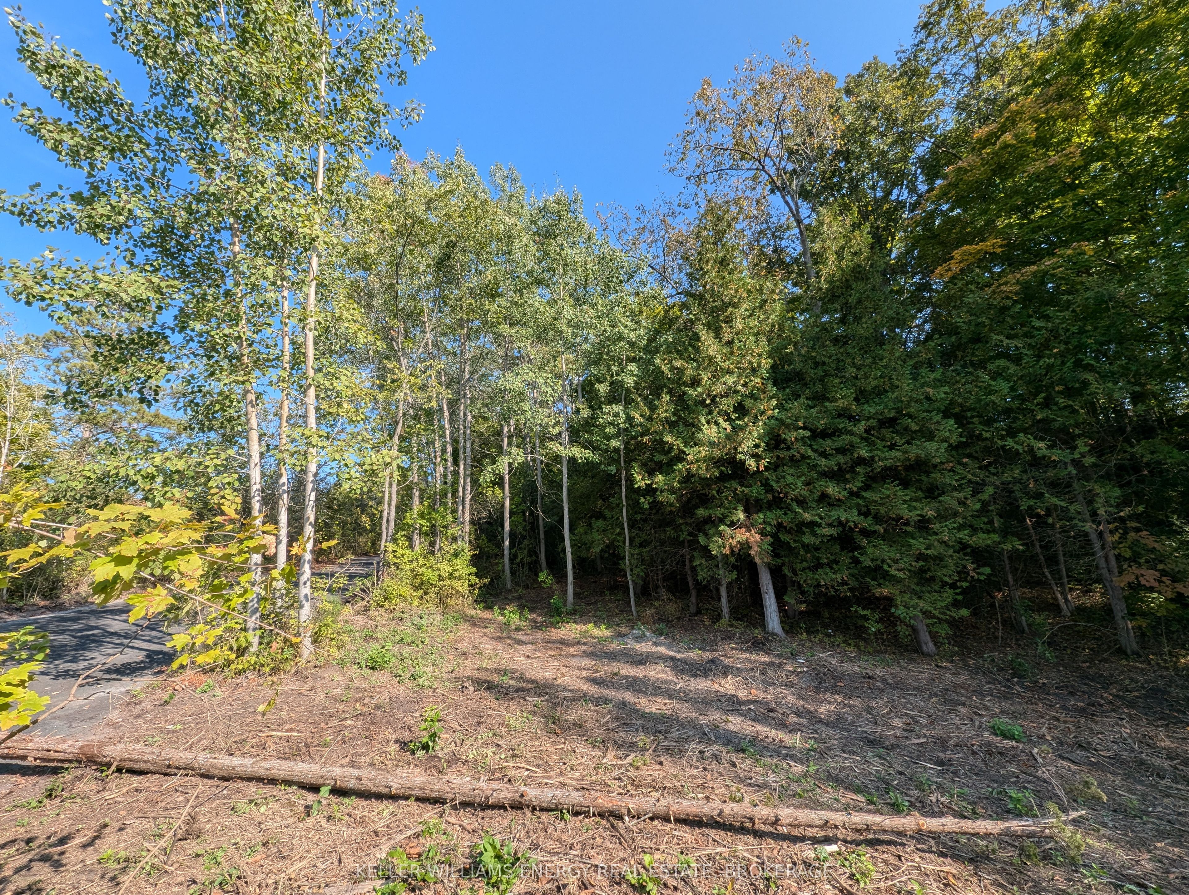 22 Ranger Road Property Photo 16