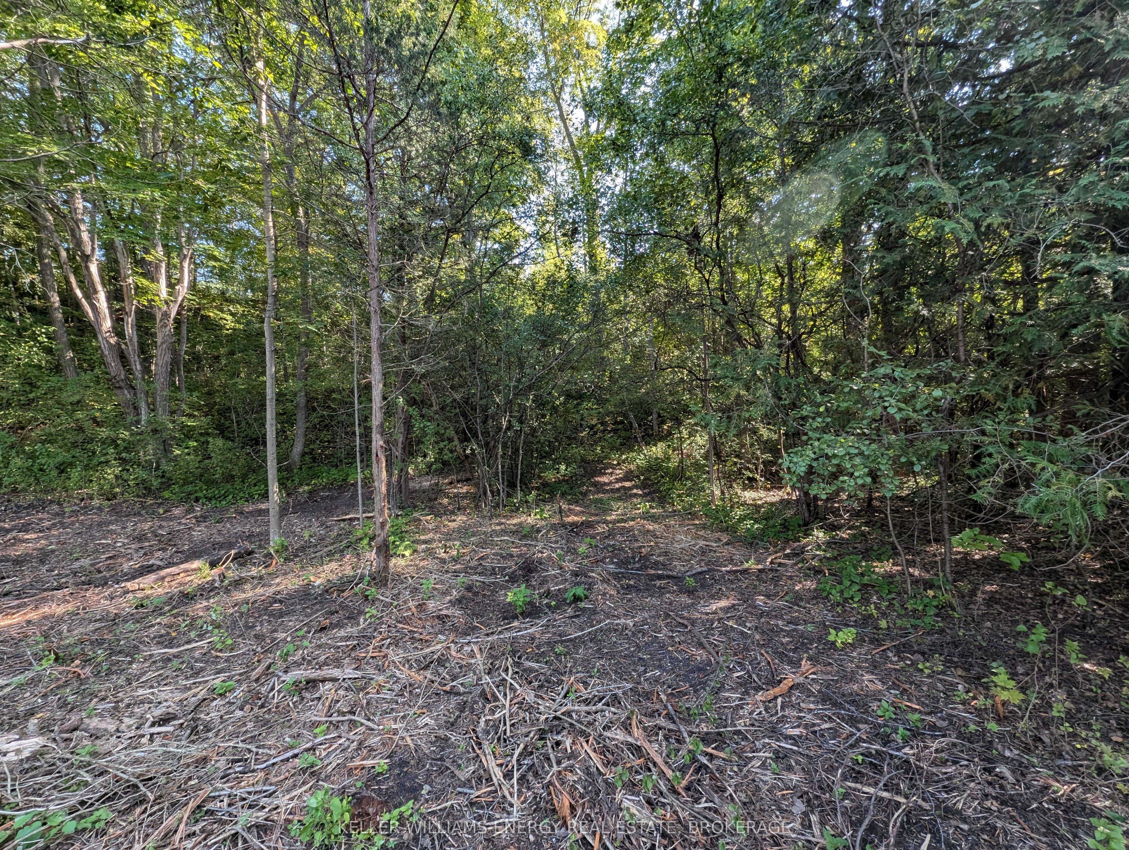 22 Ranger Road Property Photo 22