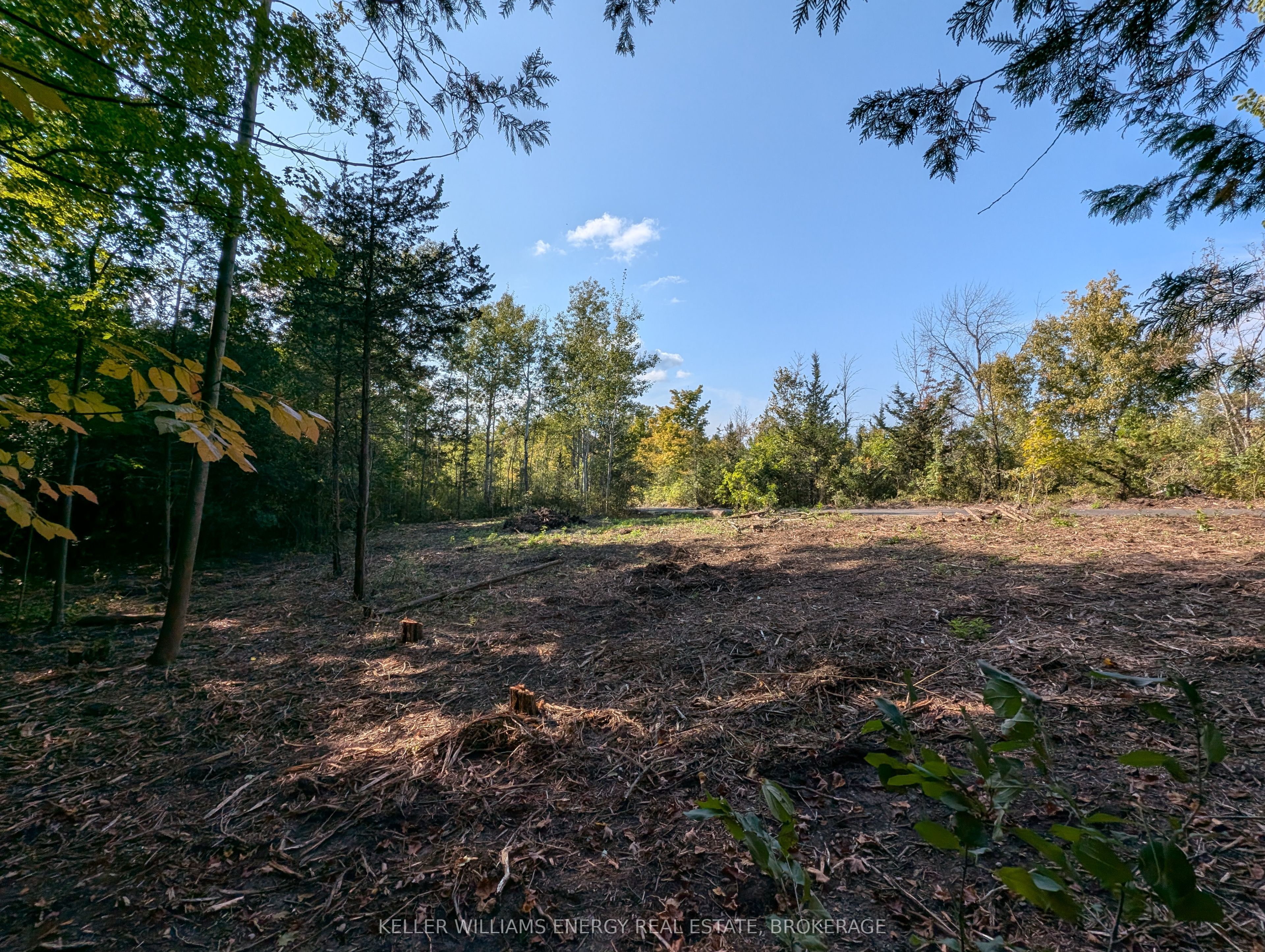 22 Ranger Road Property Photo 24
