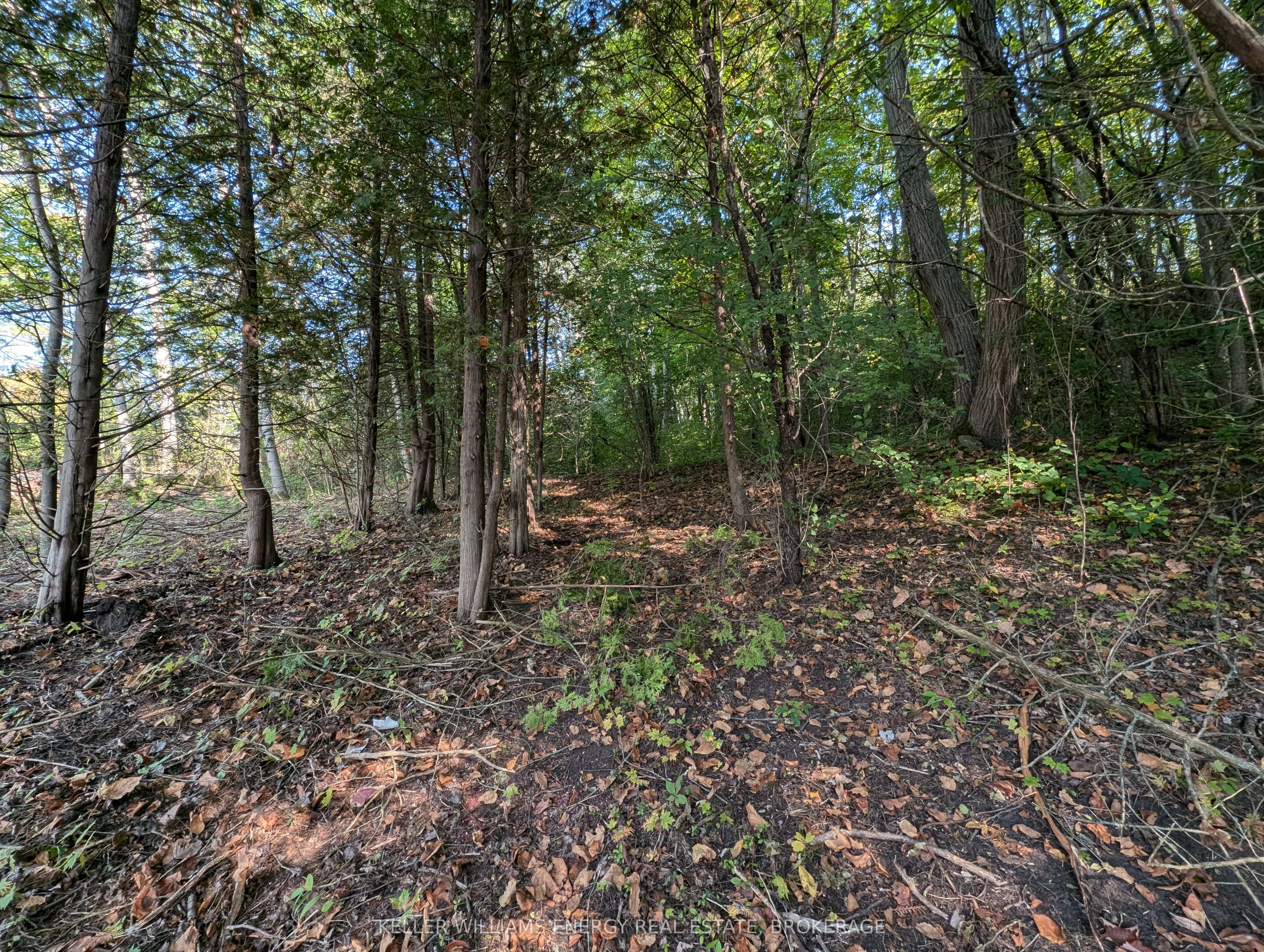22 Ranger Road Property Photo 26