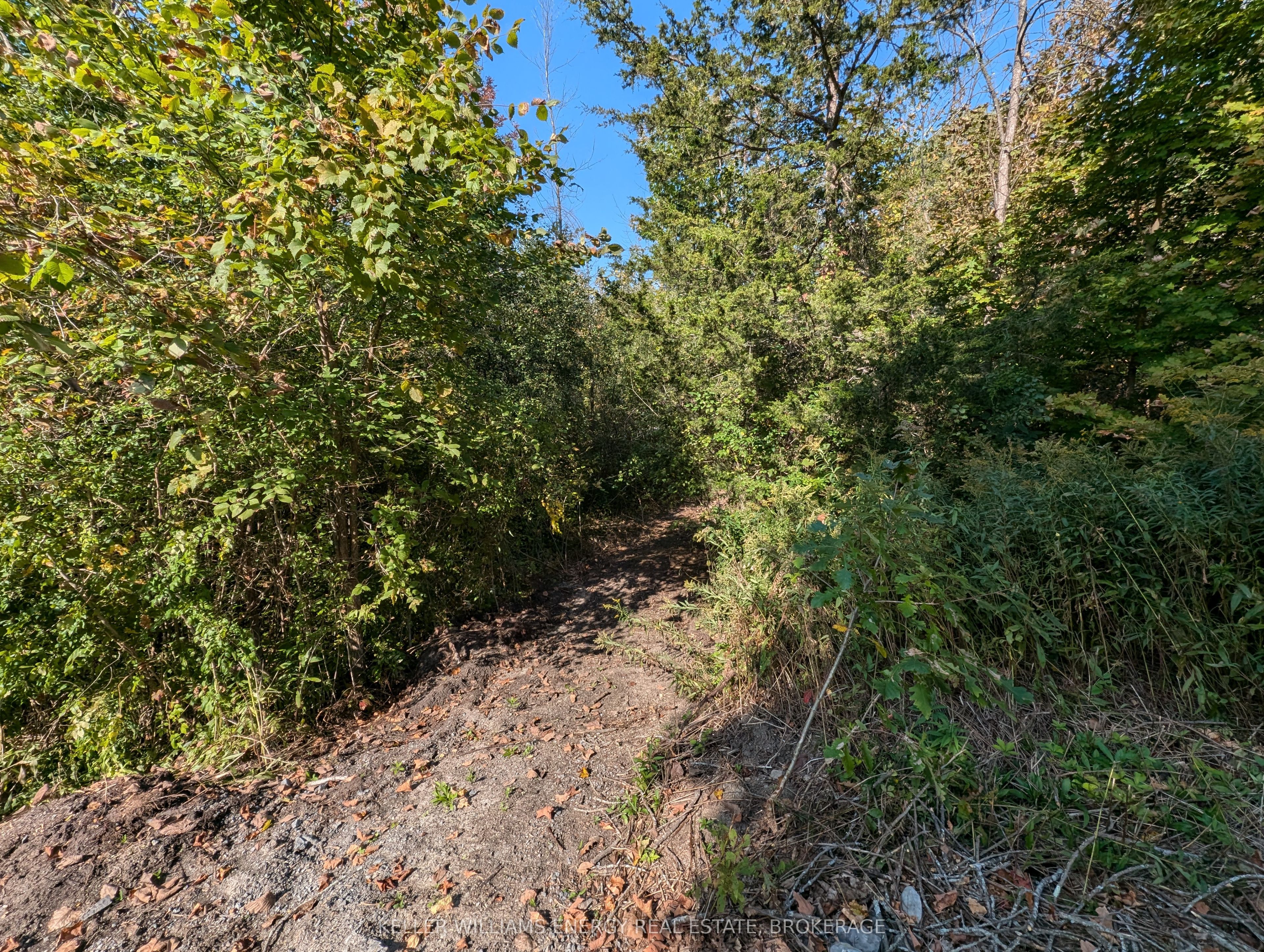 22 Ranger Road Property Photo 27