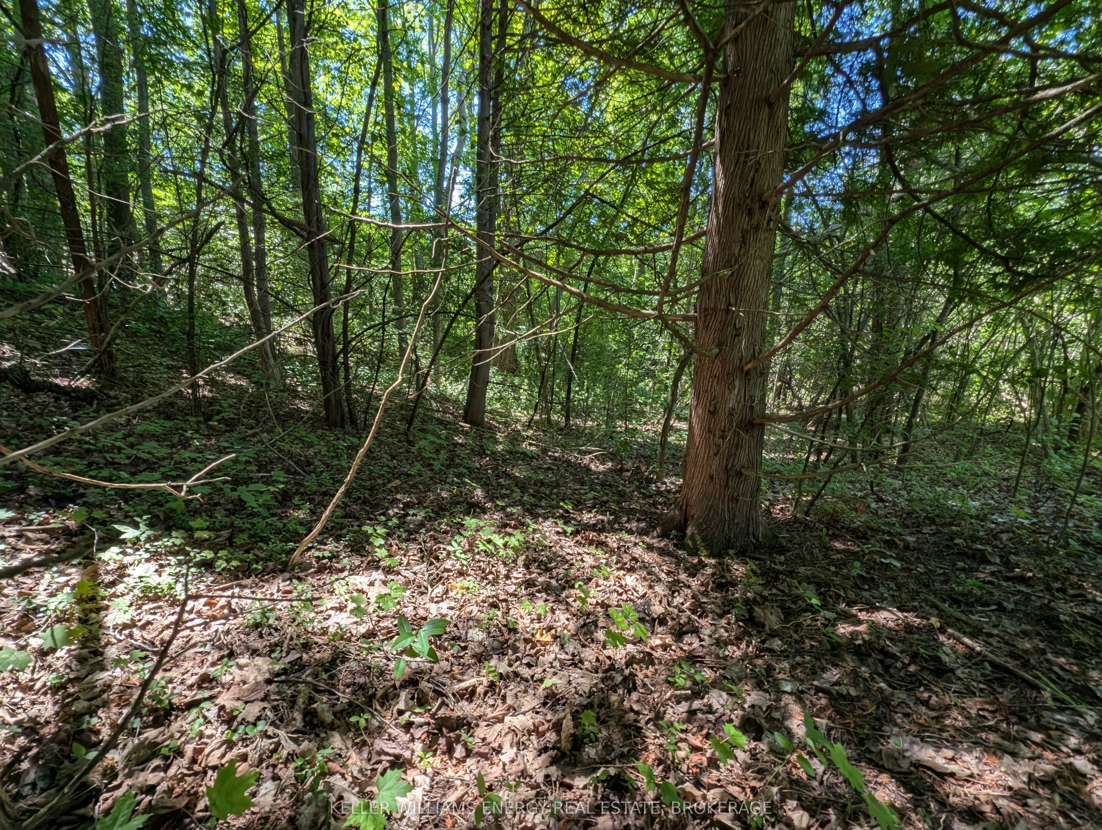 22 Ranger Road Property Photo 34