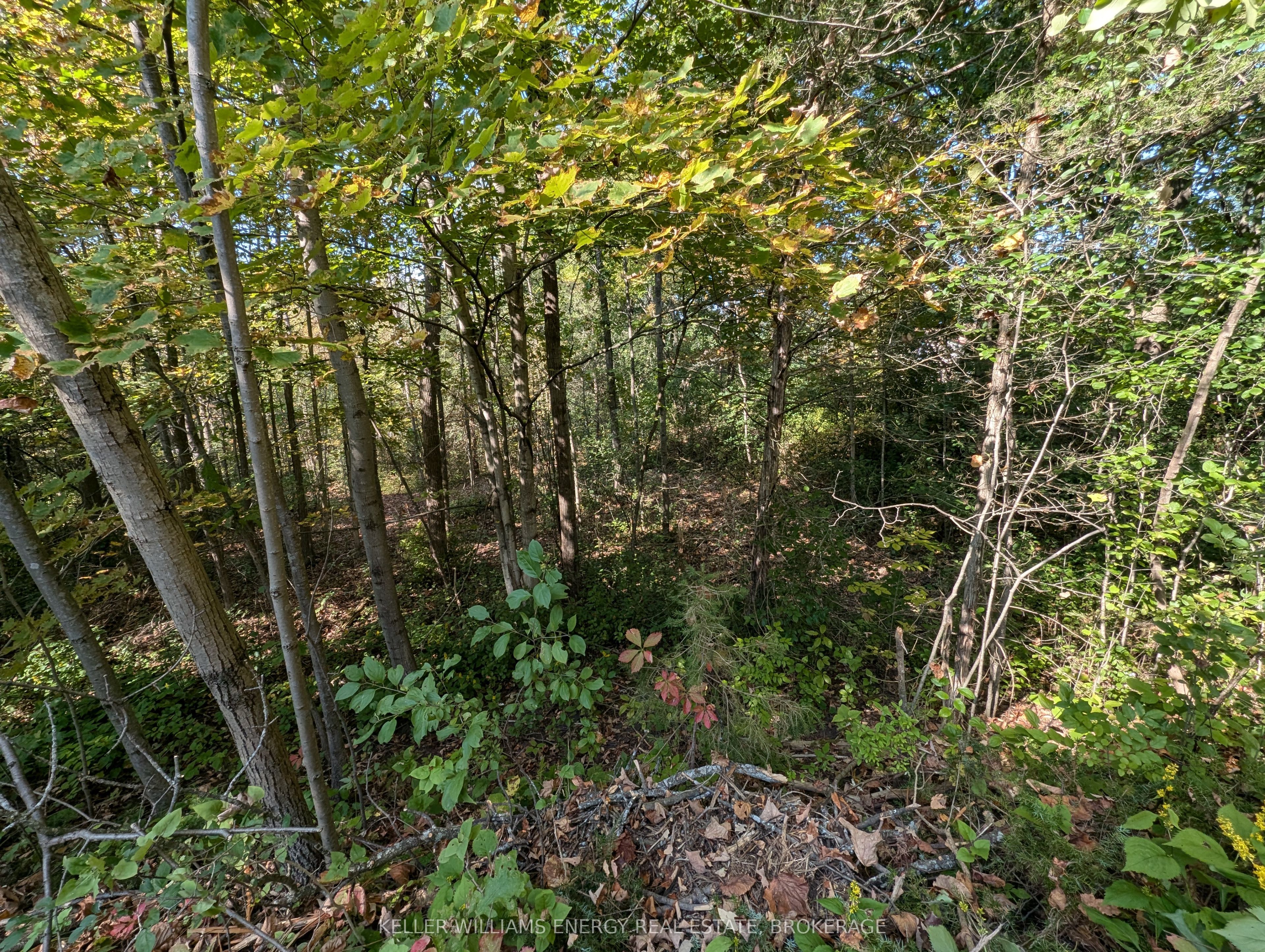22 Ranger Road Property Photo 35