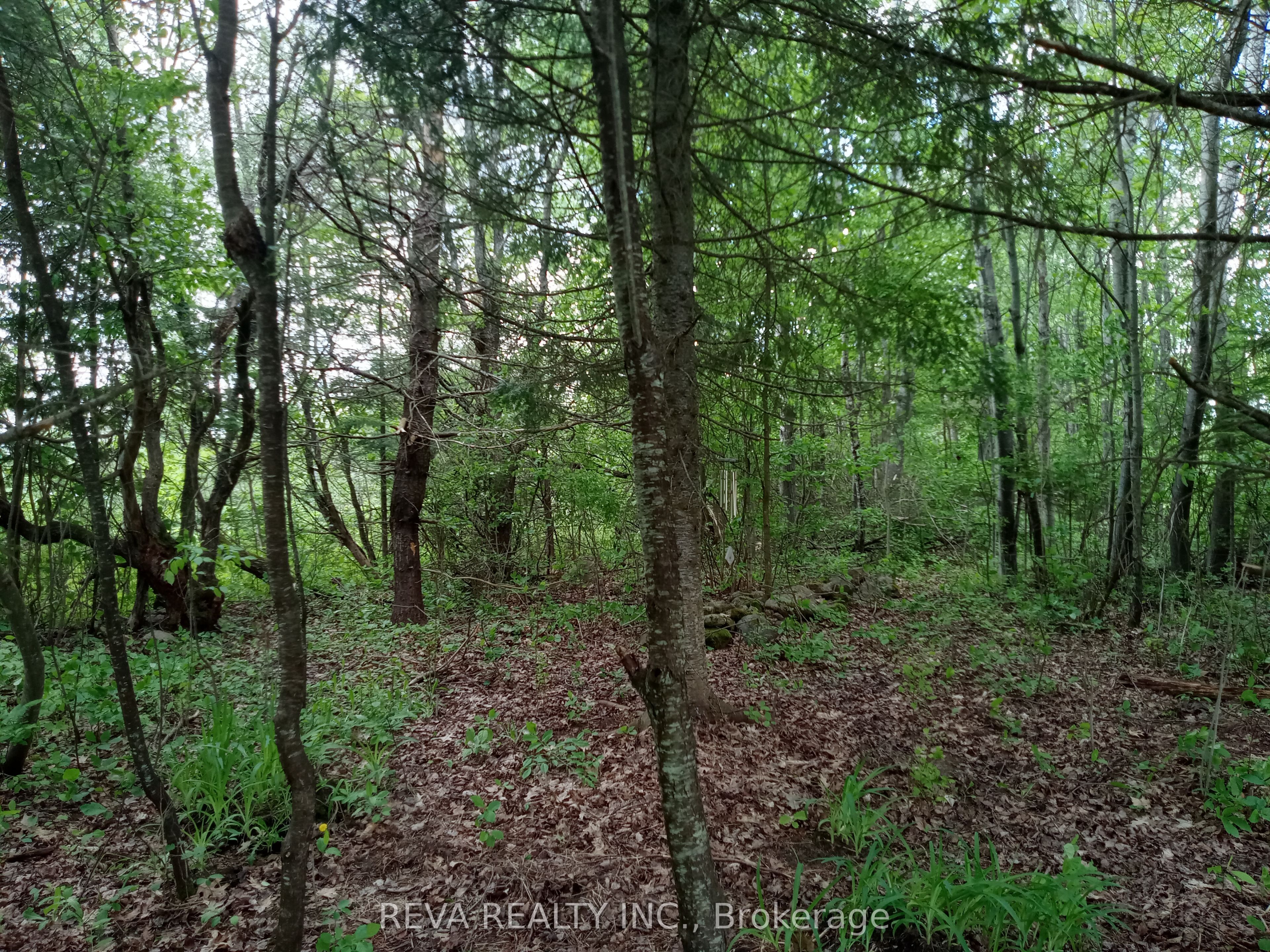 376 Kuno Road Property Photo 46