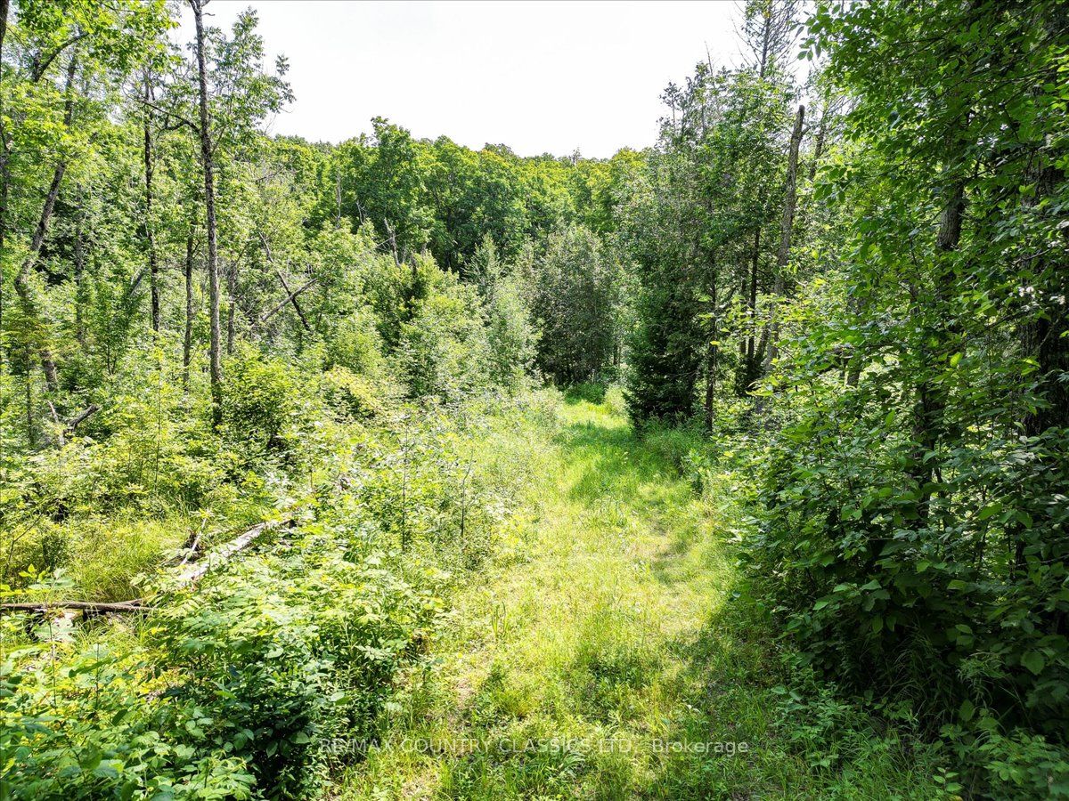 0 North Rusaw Road Property Photo 33