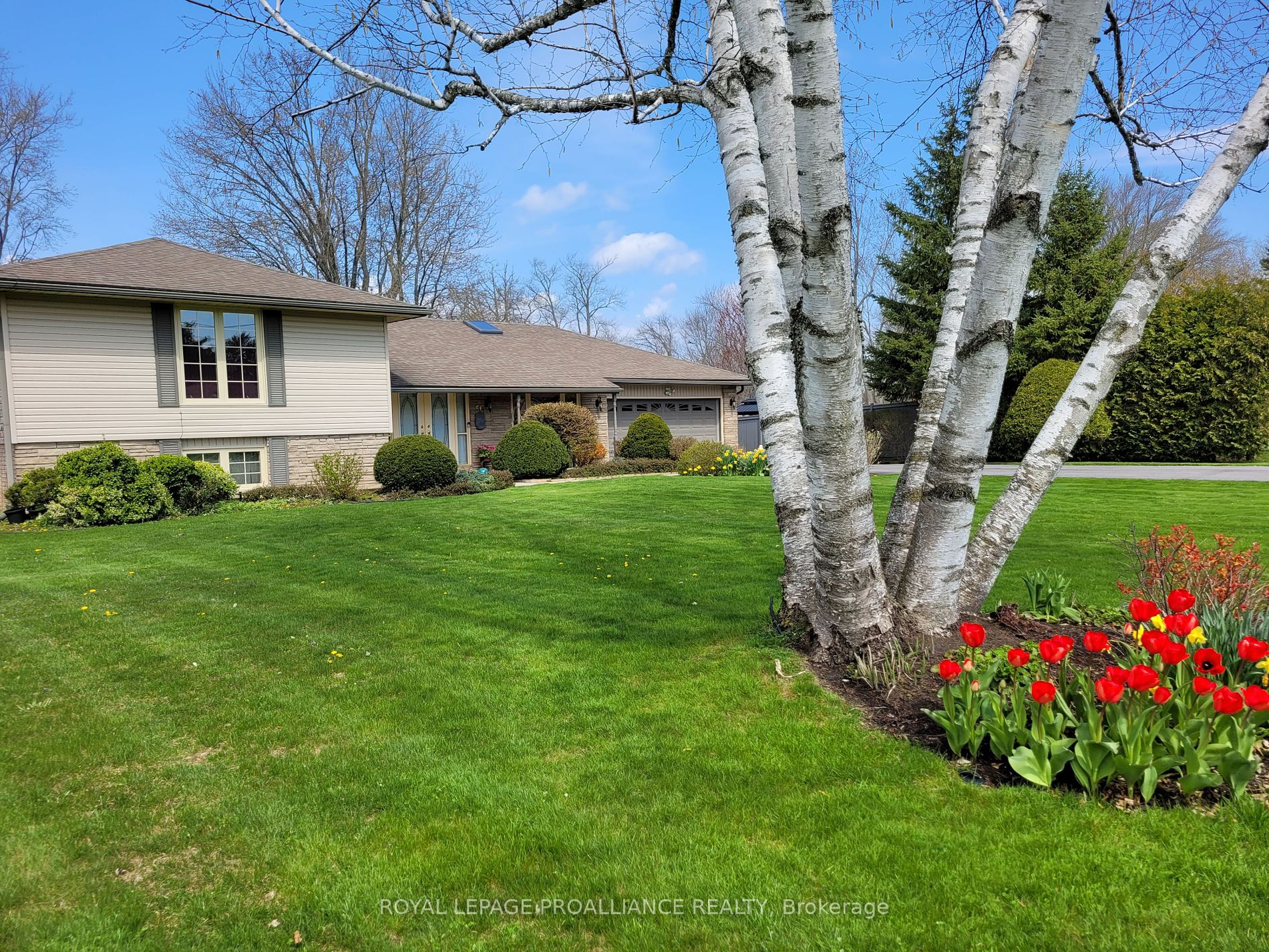 50 Greenfield Park Property Photo 36