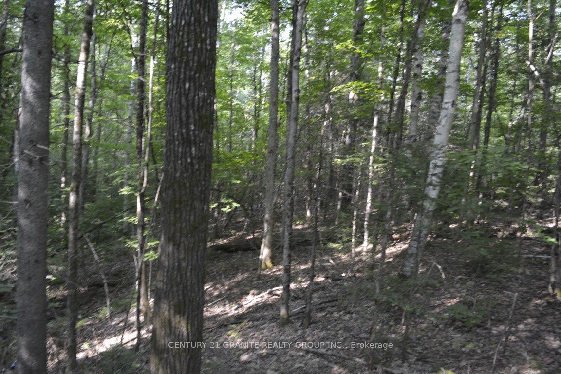 0 Moore Lane Property Photo 9