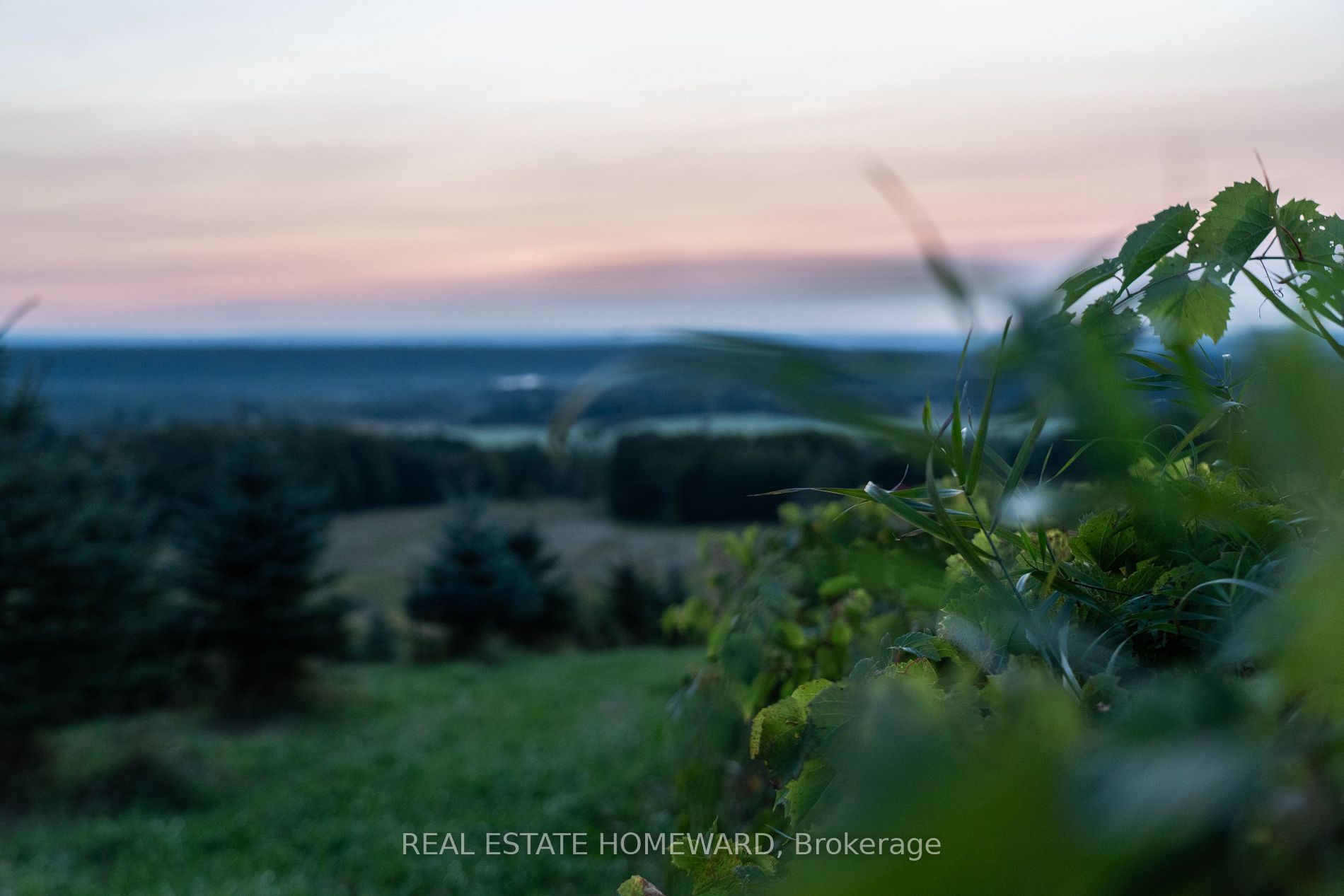 876917 5th Line S Property Photo 17