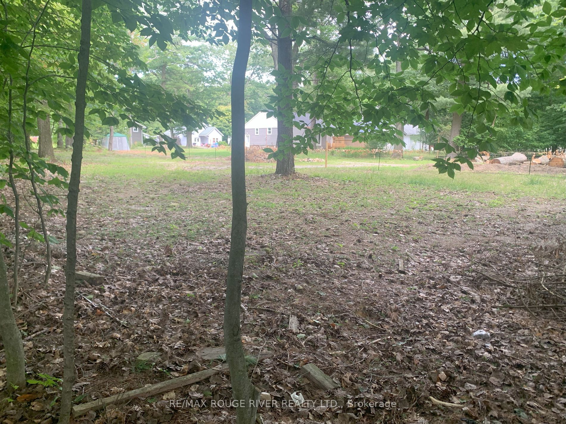 141 Oakwood Dr Property Photo 11