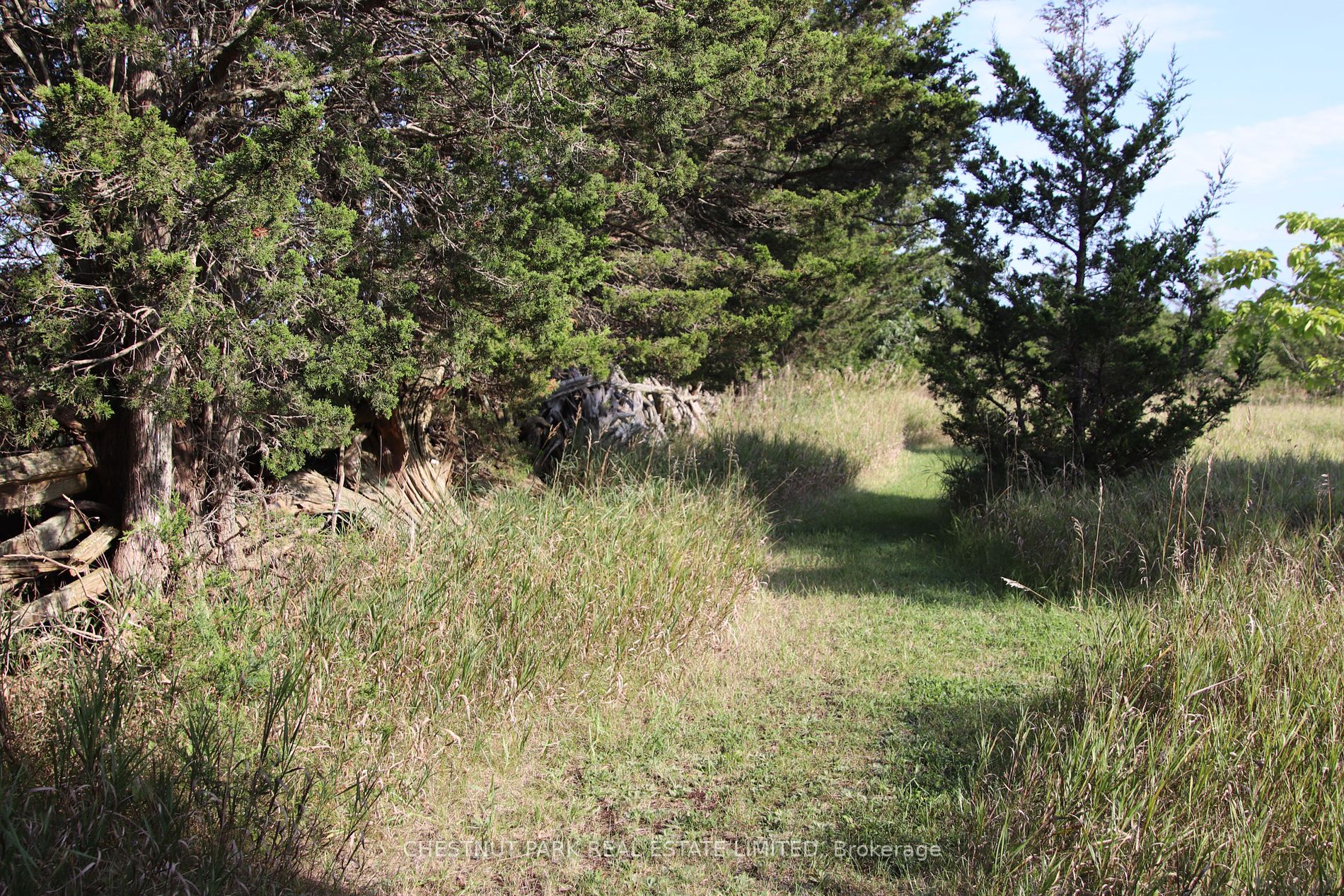 2168 County Road 7 Property Photo 37