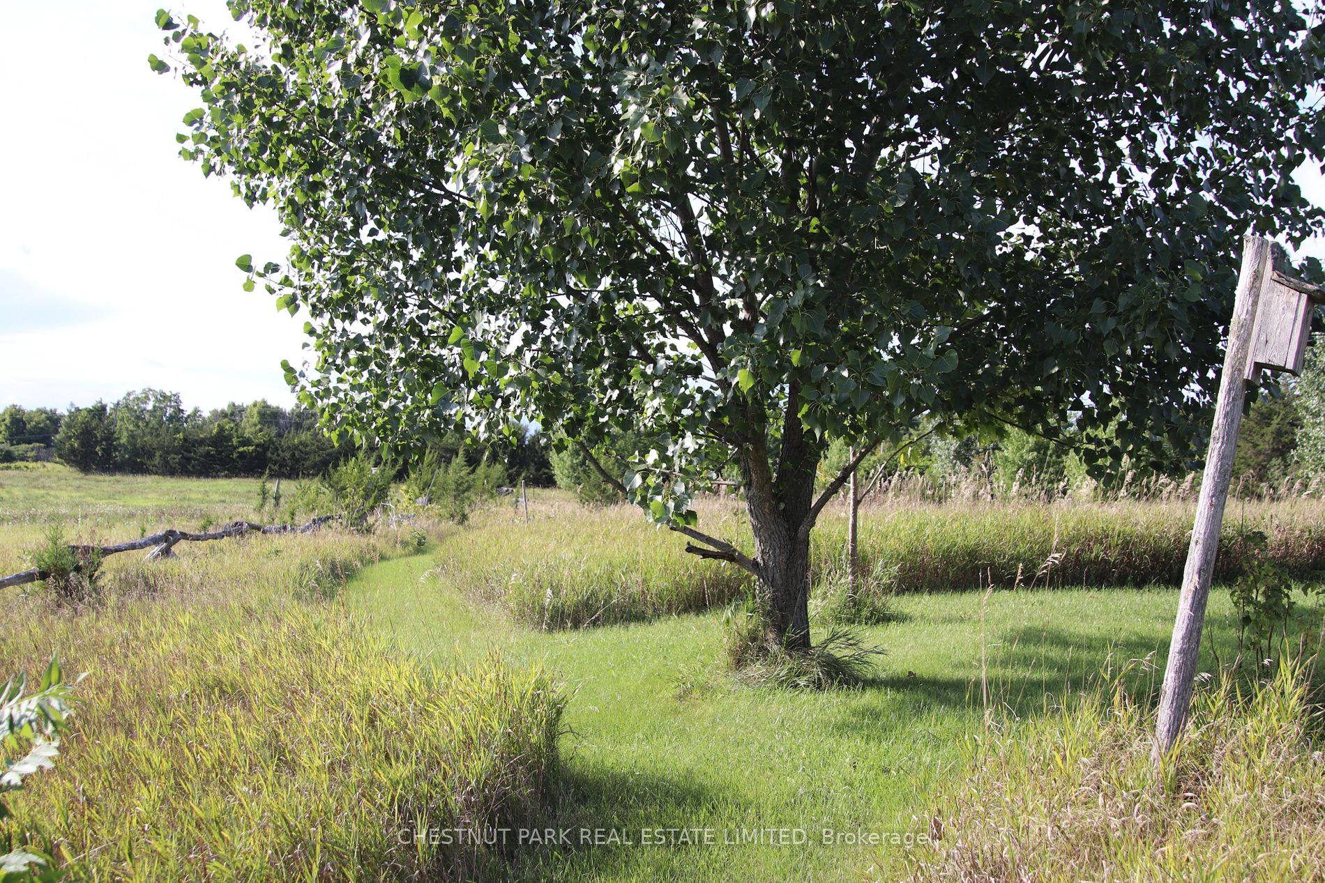 2168 County Road 7 Property Photo 38