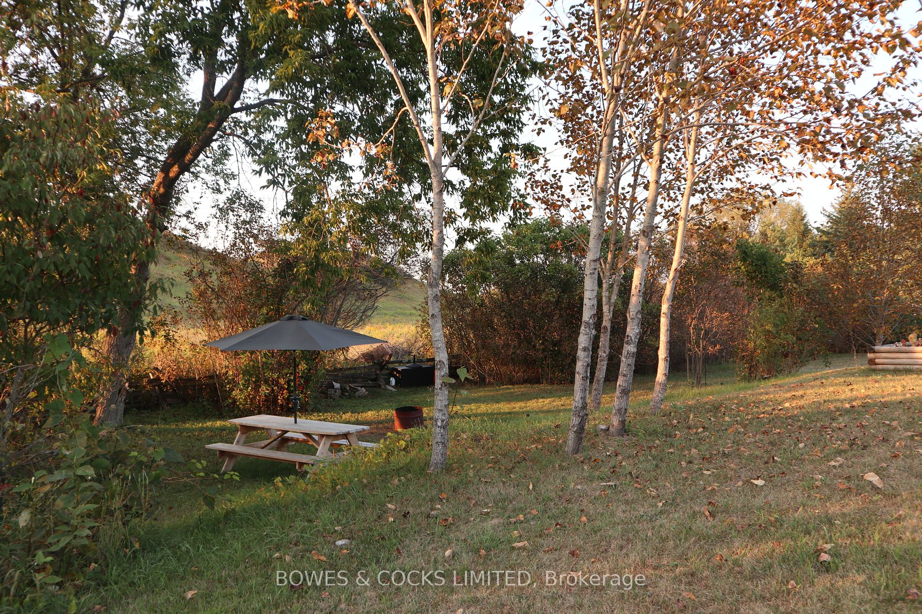 4792 Highway 7 Property Photo 19