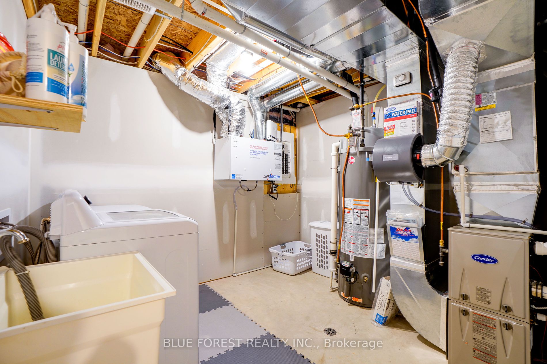 3 Mcneil St Property Photo 25