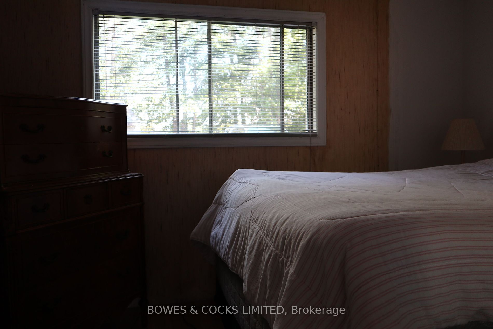 260 South Shores Rd Property Photo 6