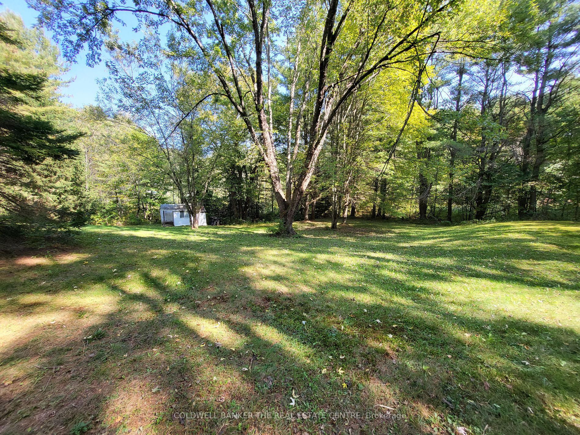 1077 Thomas Rd Property Photo 8