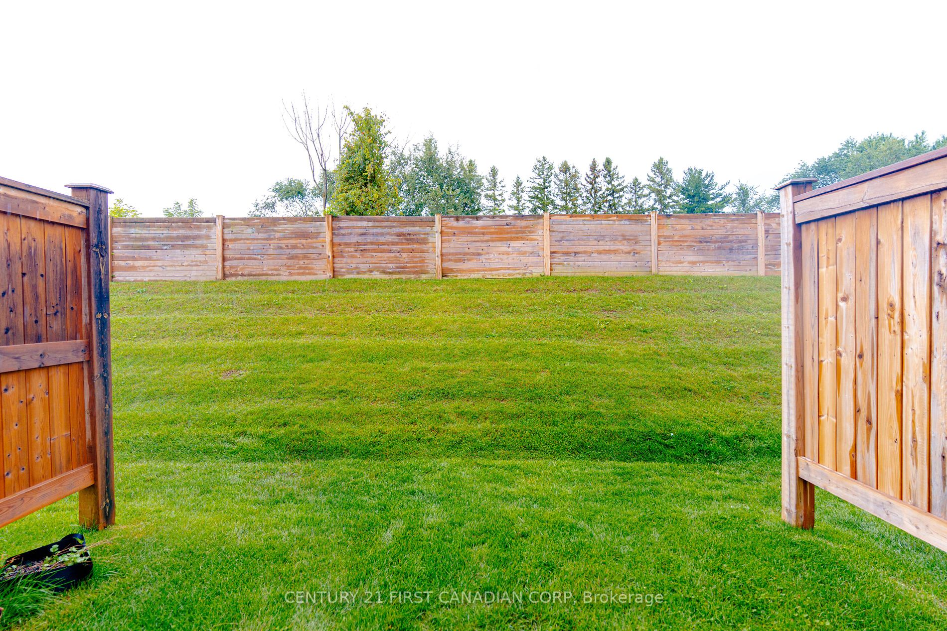 7768 Ascot Circ 67 Property Photo 29