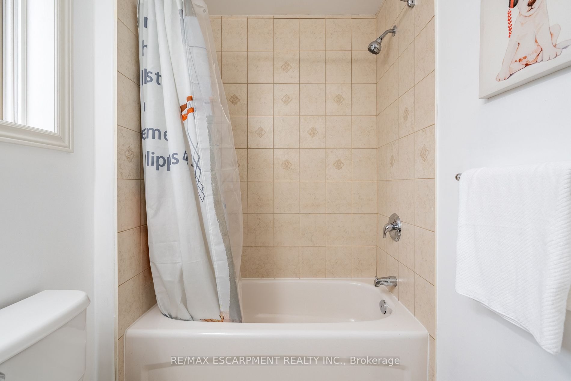 6 Newlove St Property Photo 15