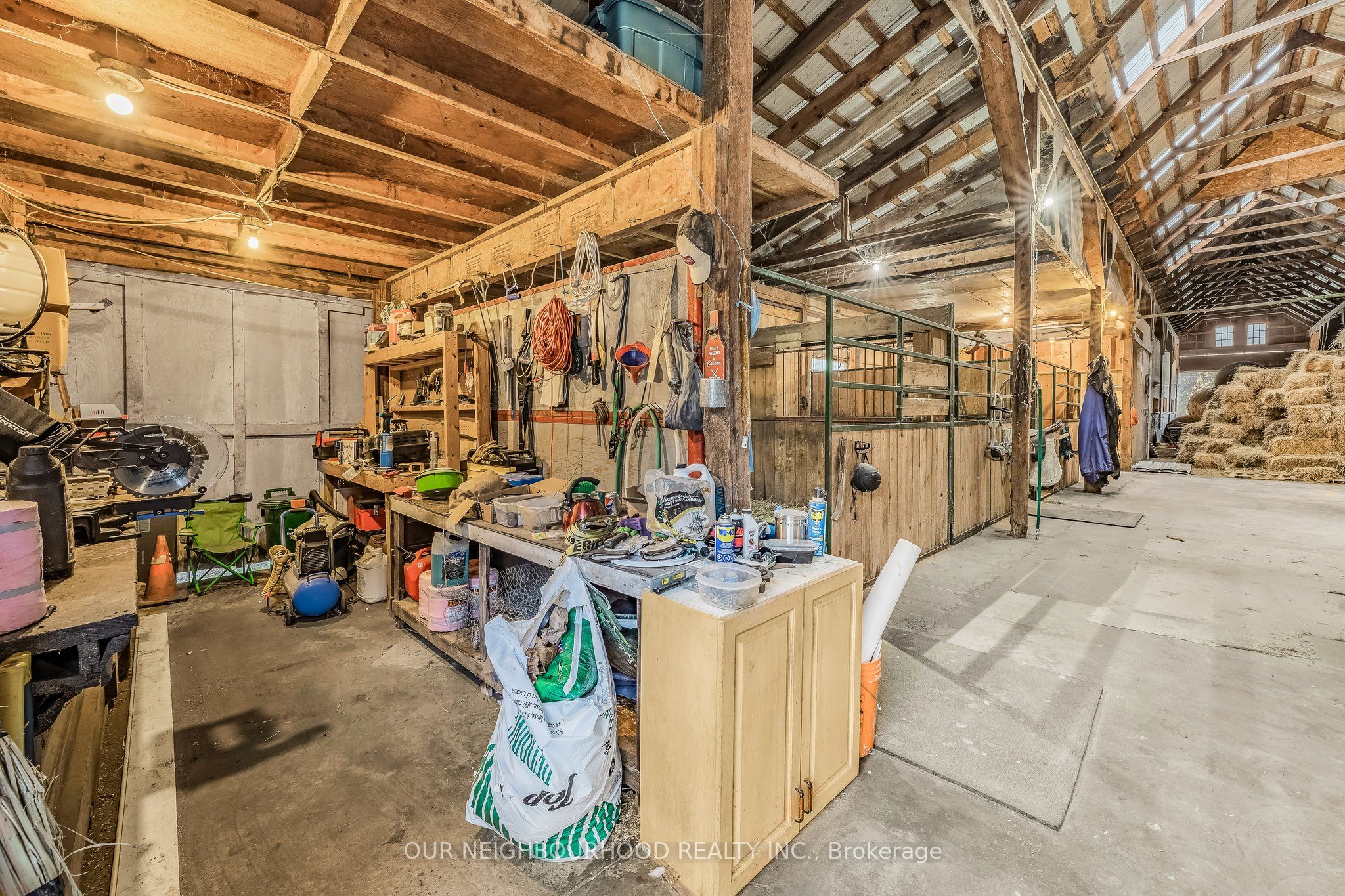 291 Bellamy Road Property Photo 16