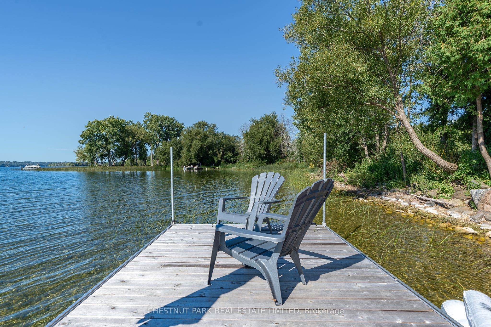 53 Macdonald's Lane Property Photo 1
