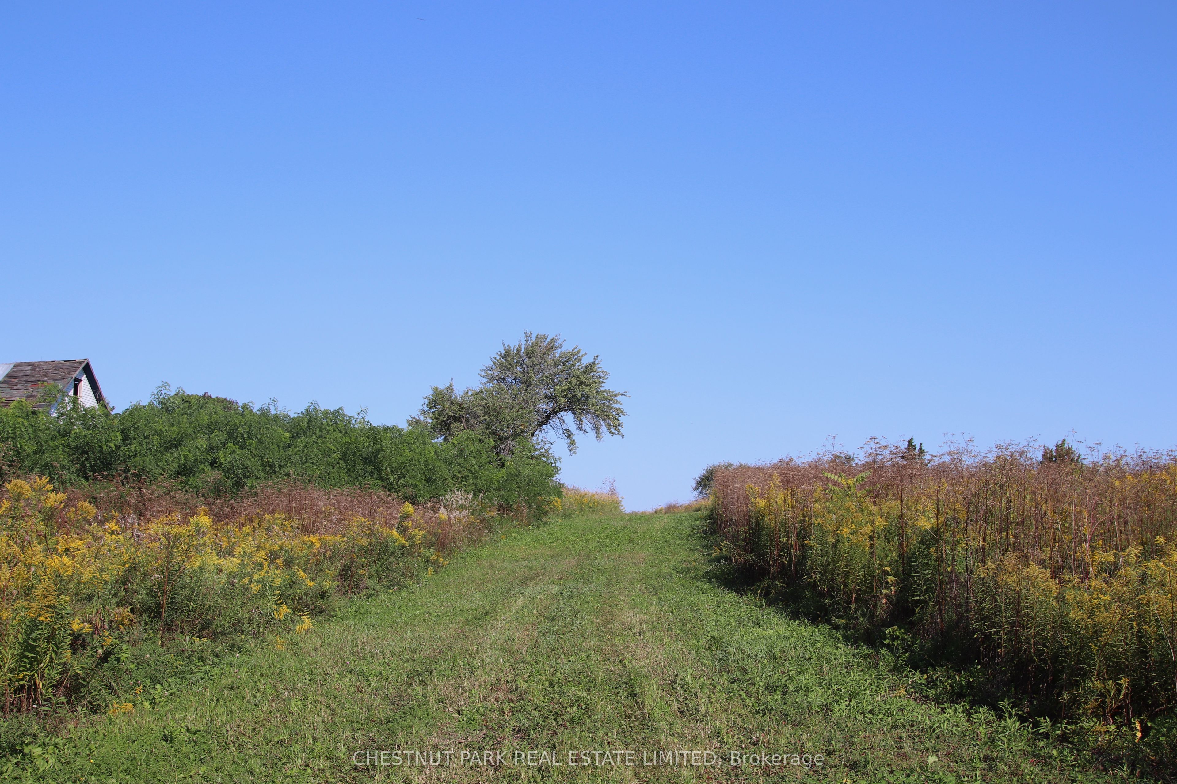 53 Macdonald's Lane Property Photo 6