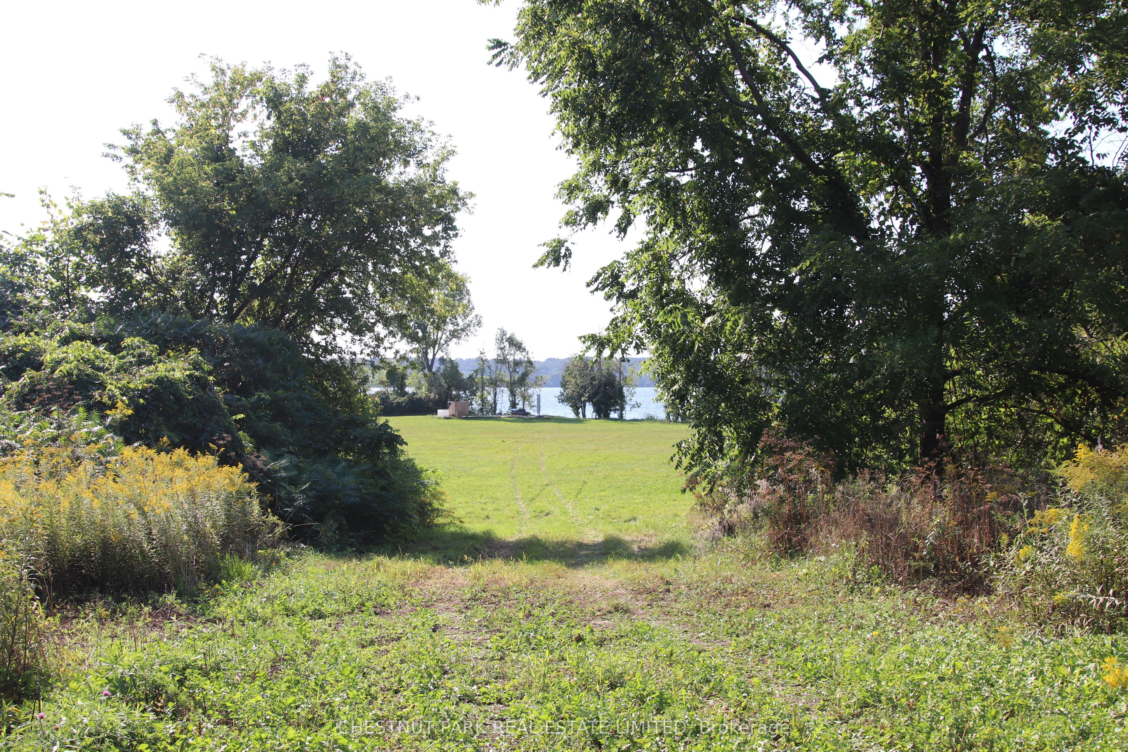 53 Macdonald's Lane Property Photo 7