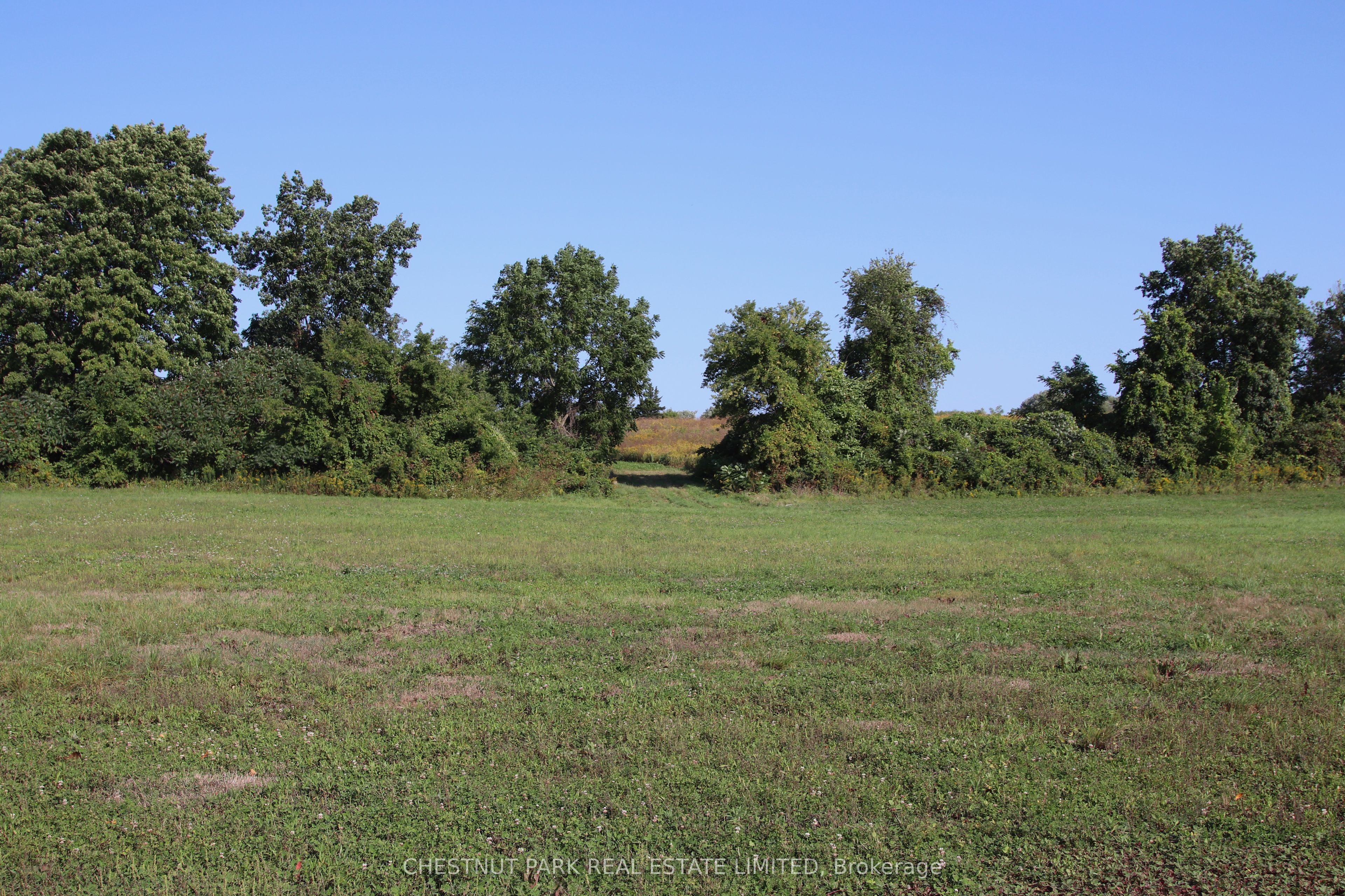 53 Macdonald's Lane Property Photo 8