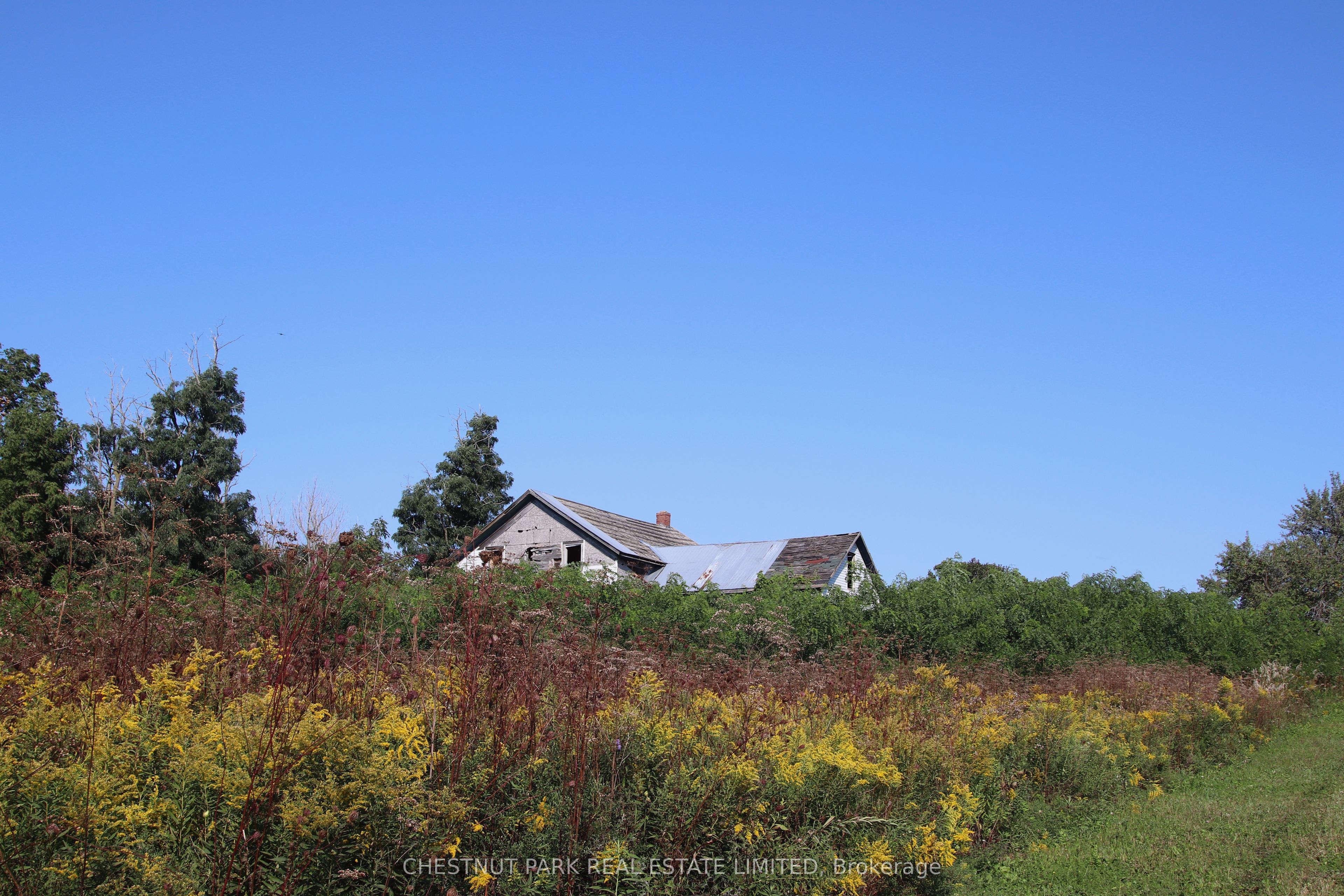 53 Macdonald's Lane Property Photo 10