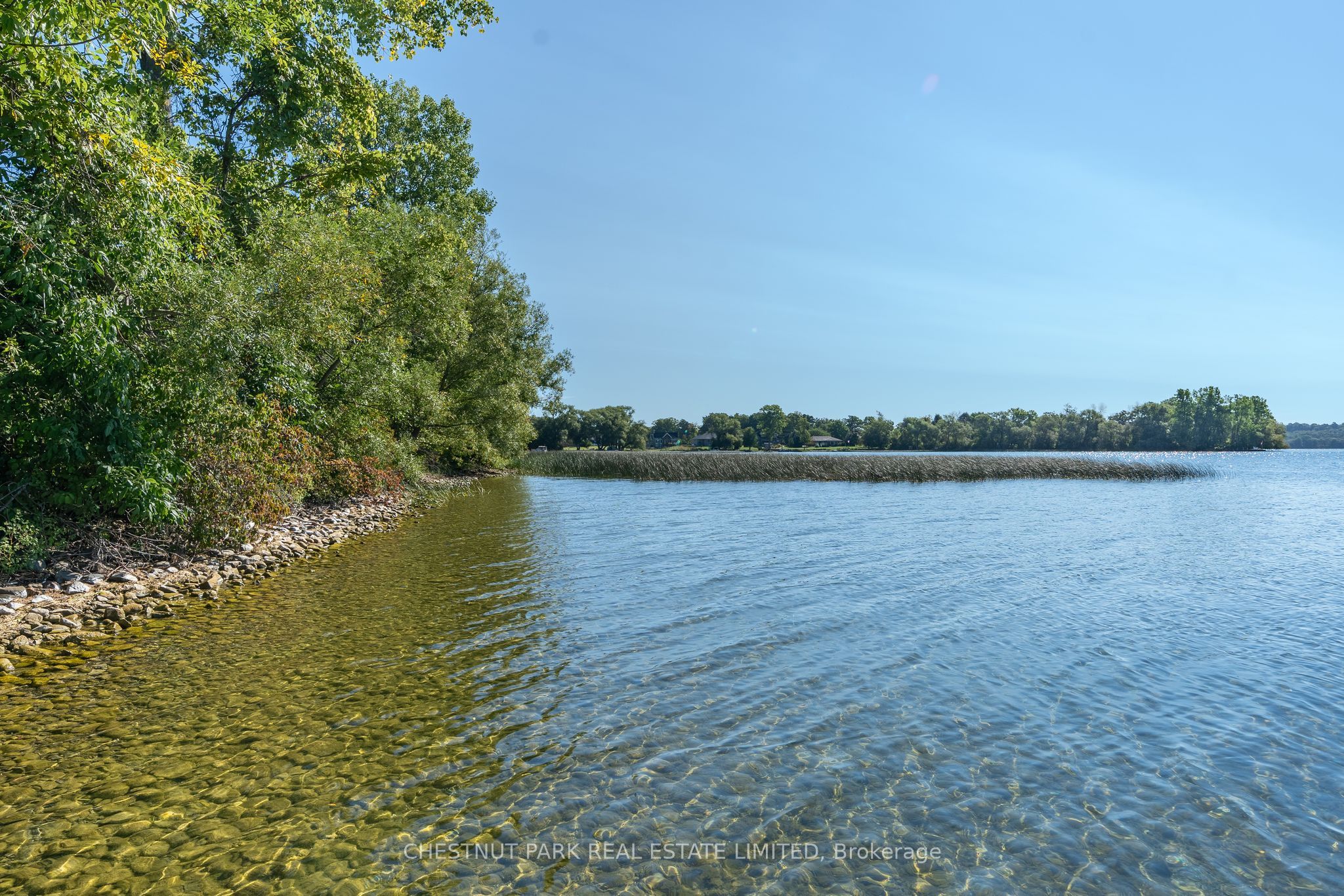 53 Macdonald's Lane Property Photo 15