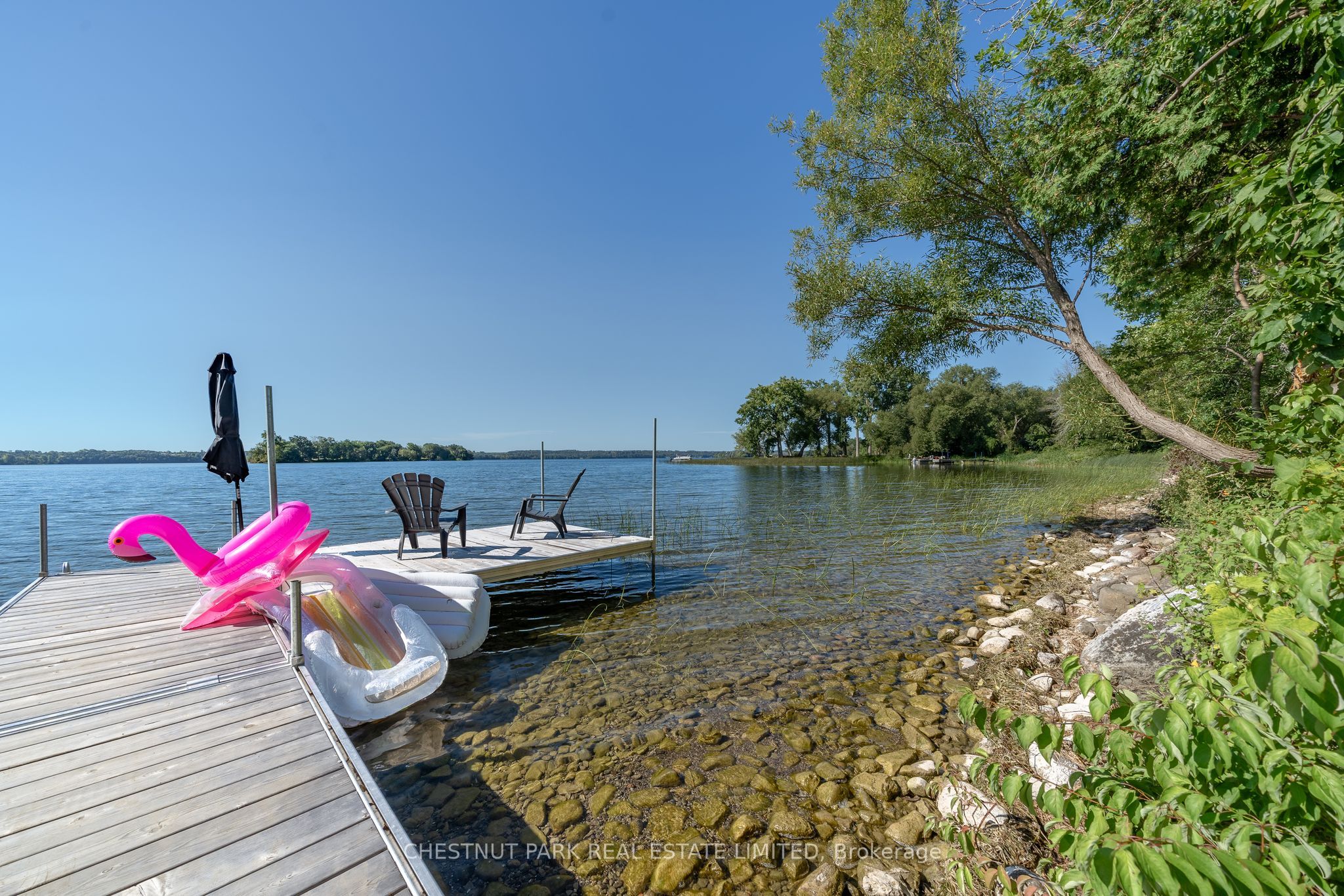 53 Macdonald's Lane Property Photo 16