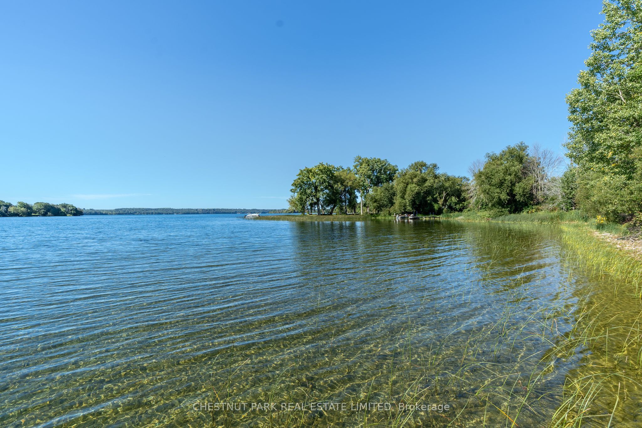 53 Macdonald's Lane Property Photo 18