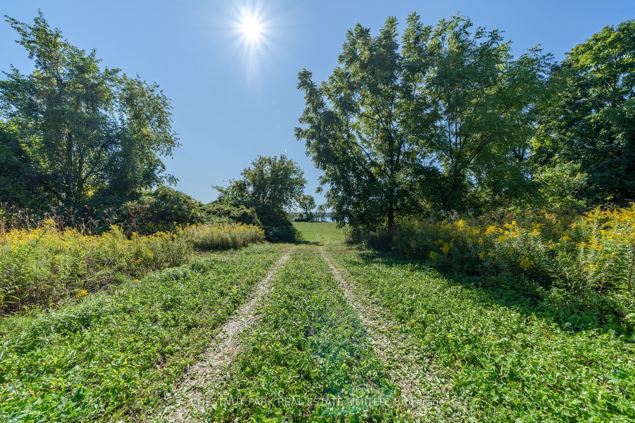 53 Macdonald's Lane Property Photo 23
