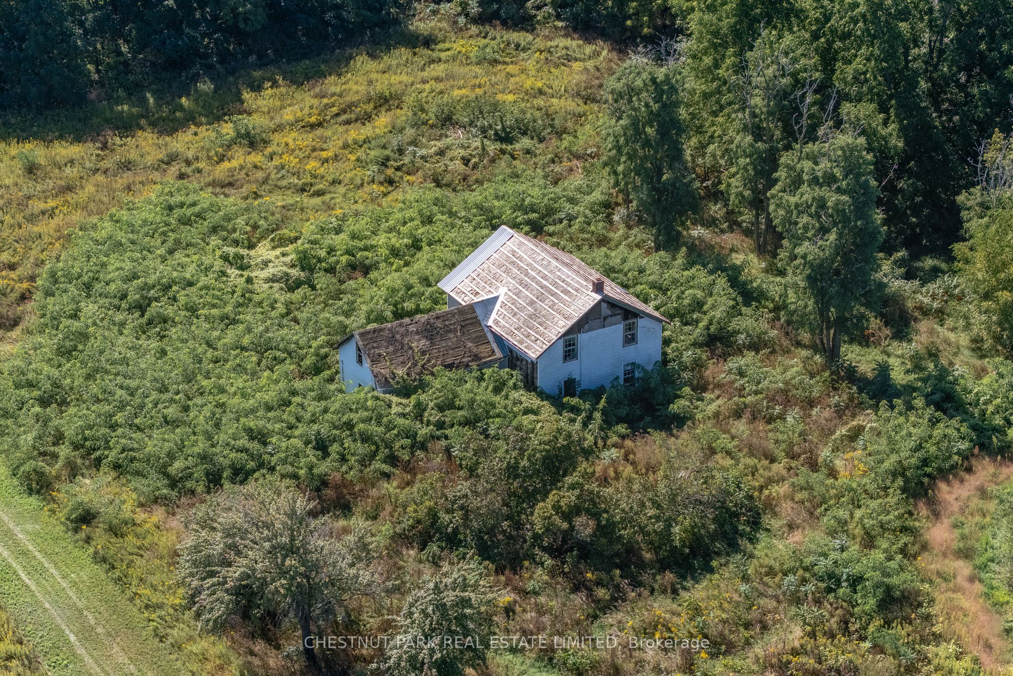 53 Macdonald's Lane Property Photo 29