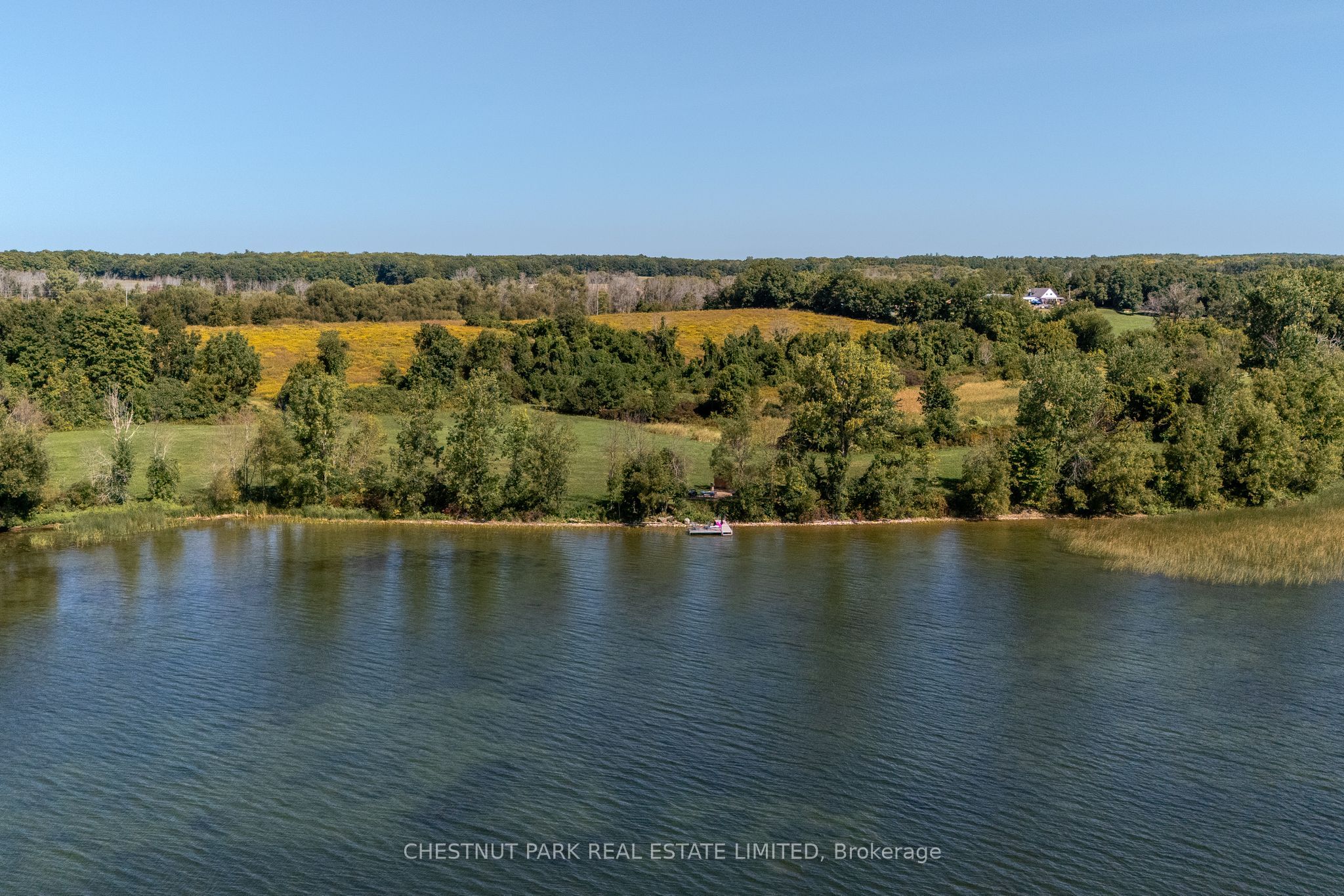 53 Macdonald's Lane Property Photo 30