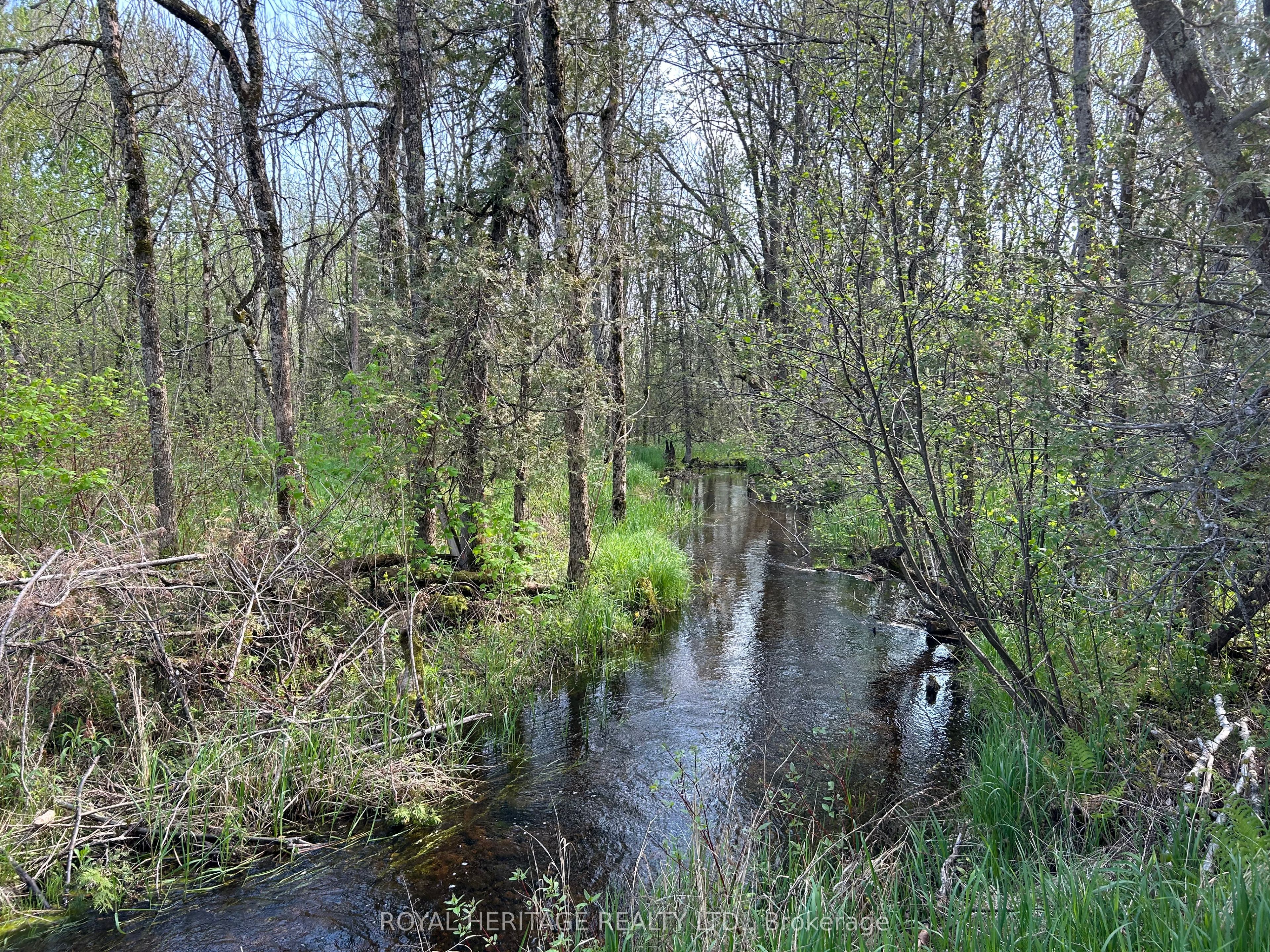 810 4th Line Property Photo 5