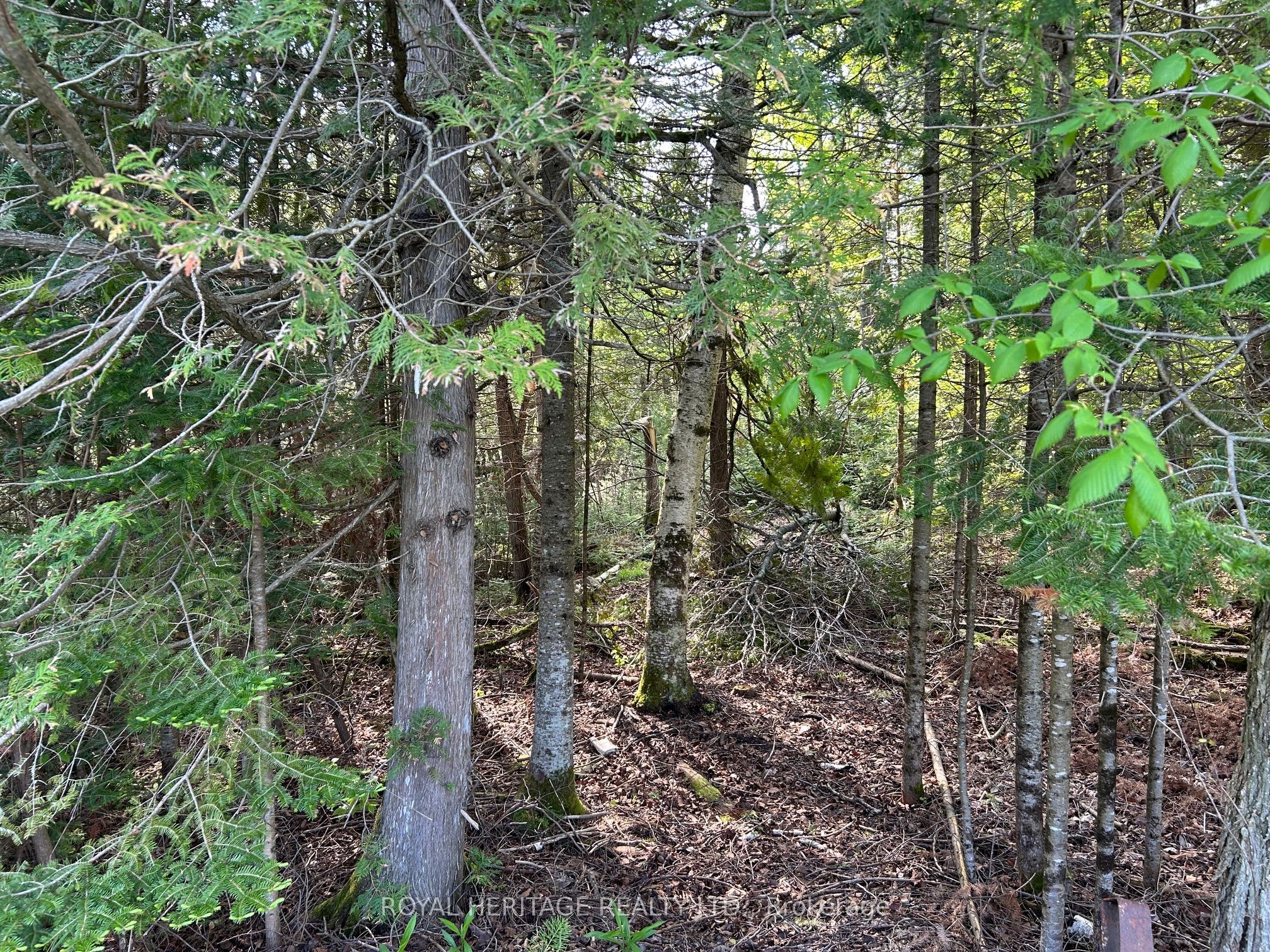 810 4th Line Property Photo 11