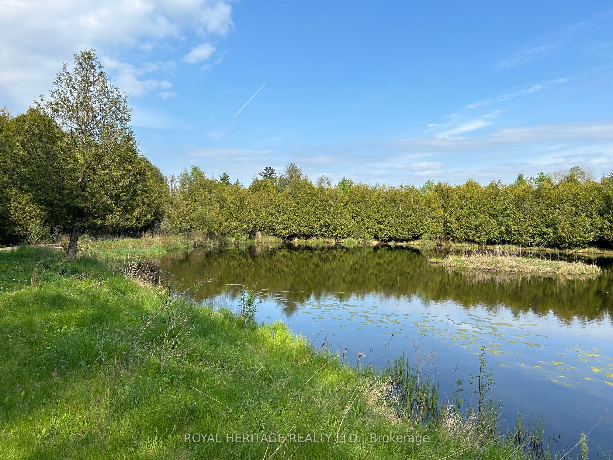810 4th Line Property Photo 14