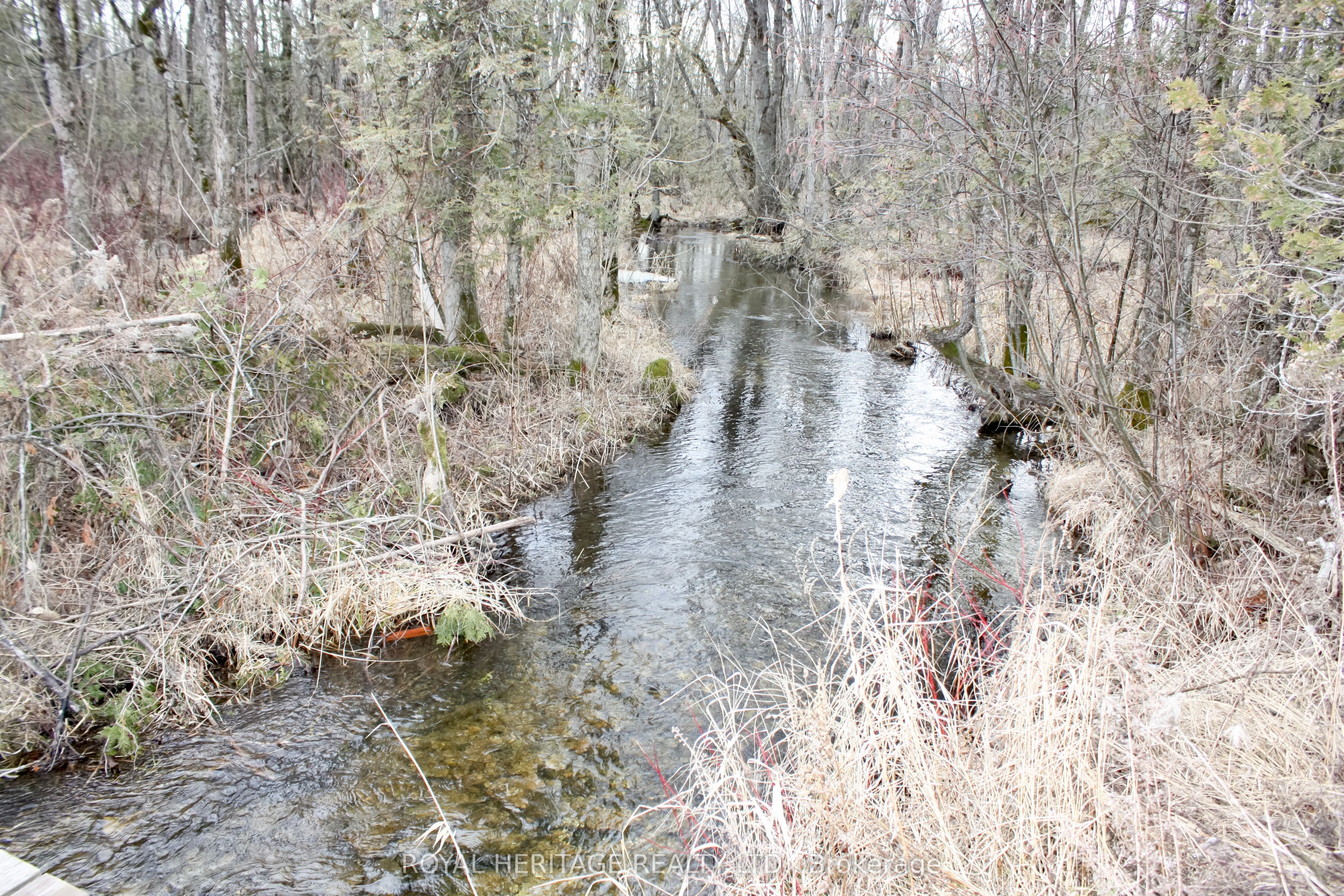 810 4th Line Property Photo 31