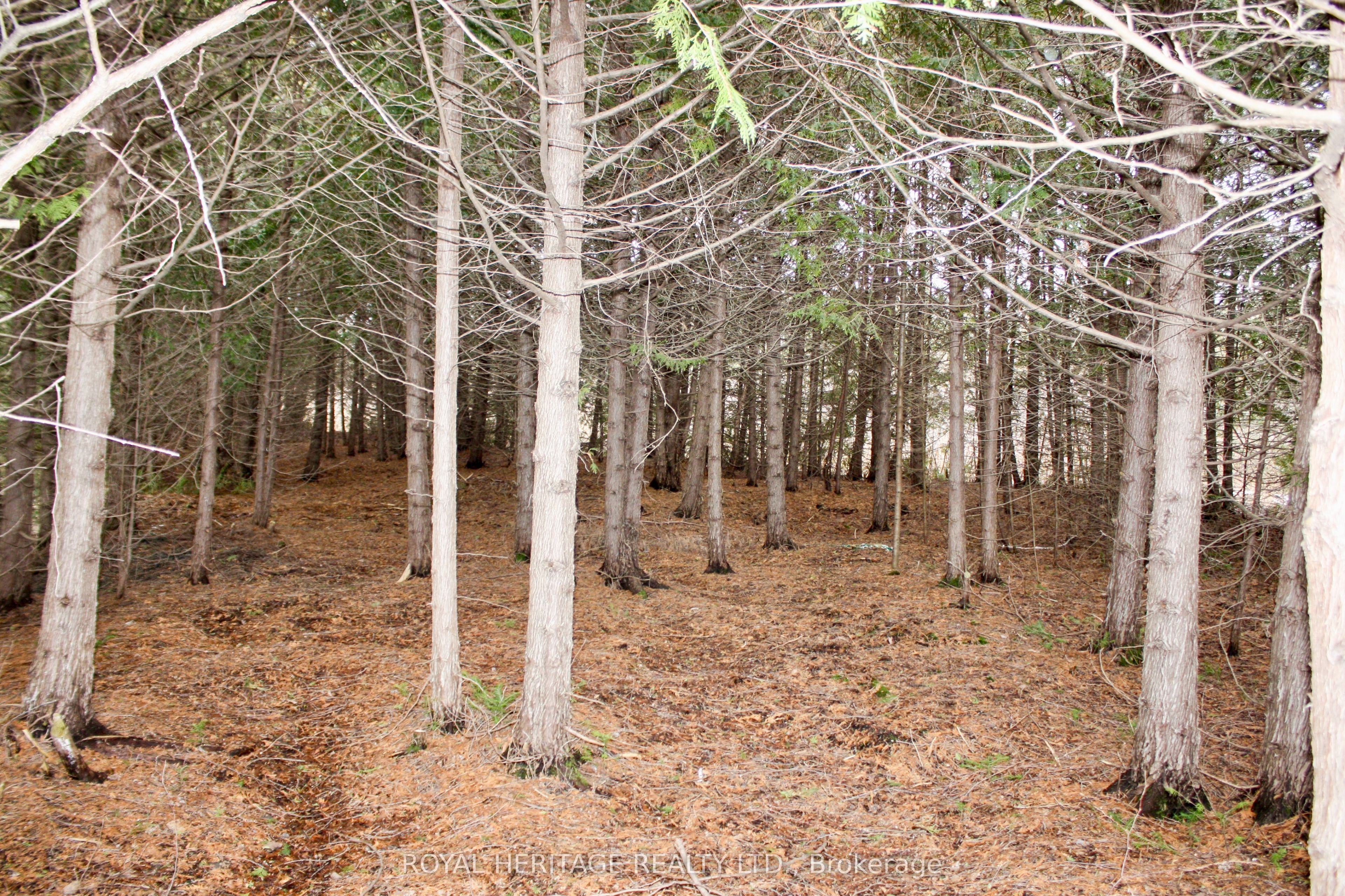 810 4th Line Property Photo 32