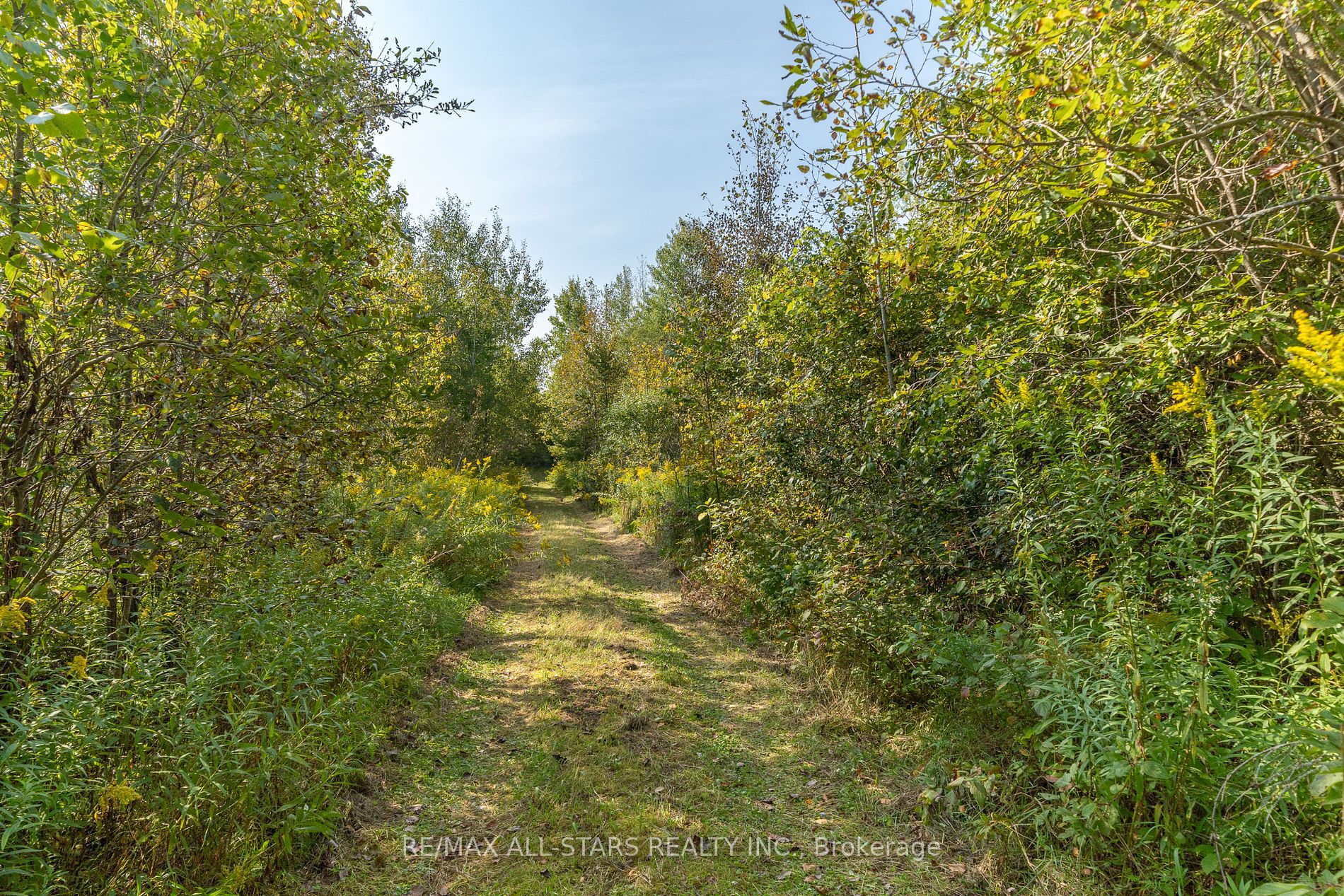 Lot 1 Four Points Rd Property Photo 19